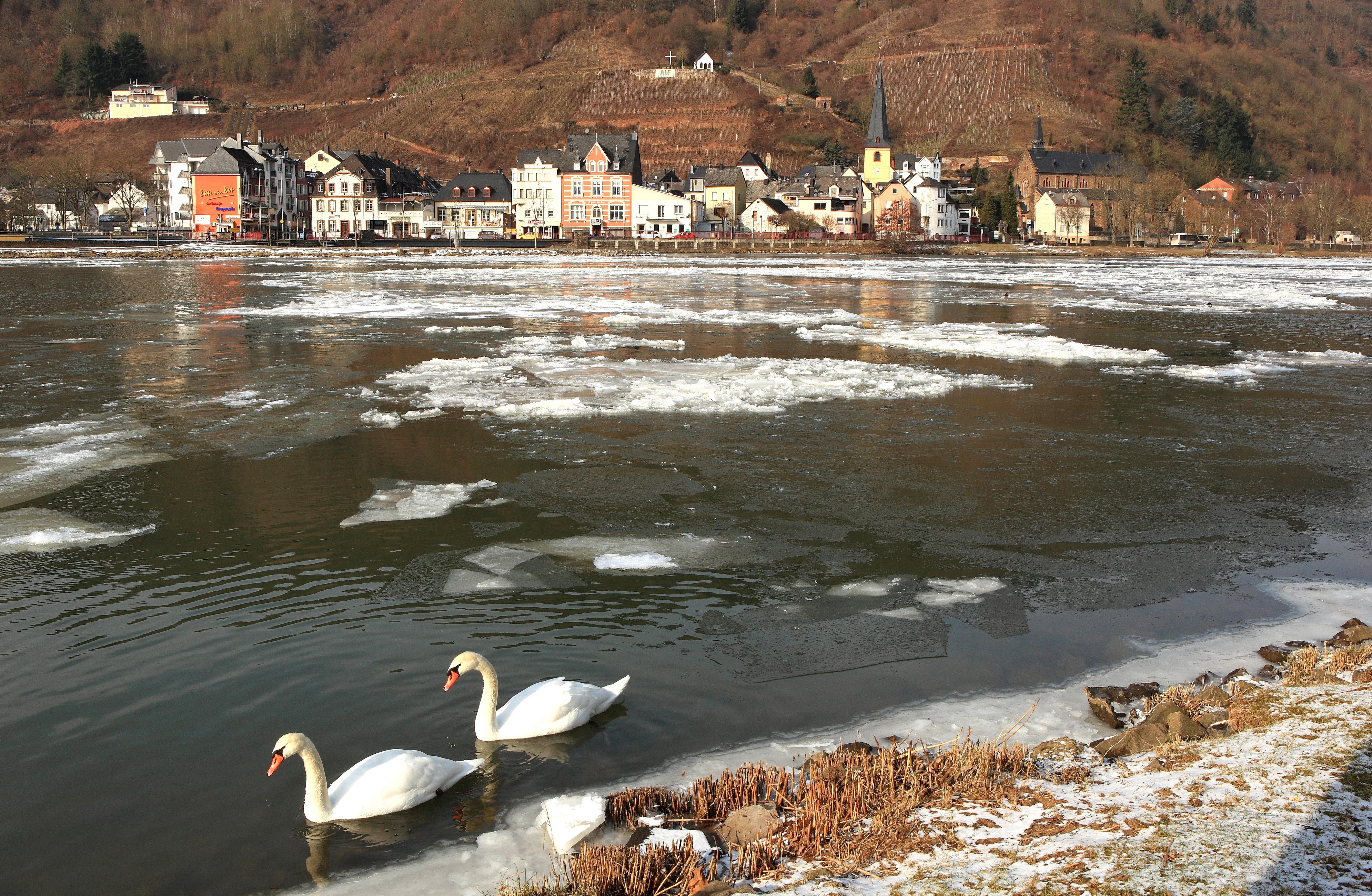 Two swans in a frozen river in Germany HD Wallpaper