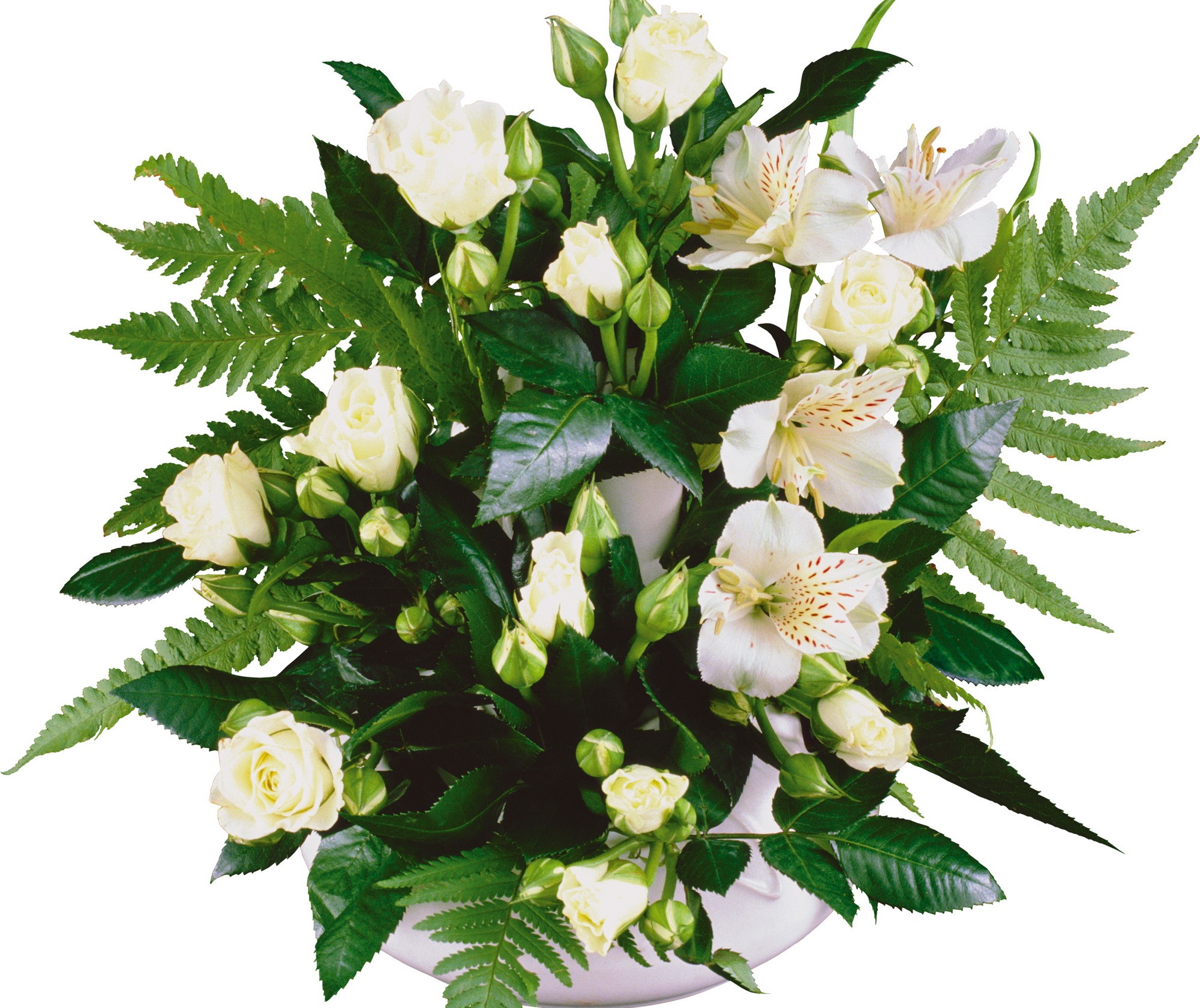 White roses and alstroemeria bouquet with ferns HD Wallpaper