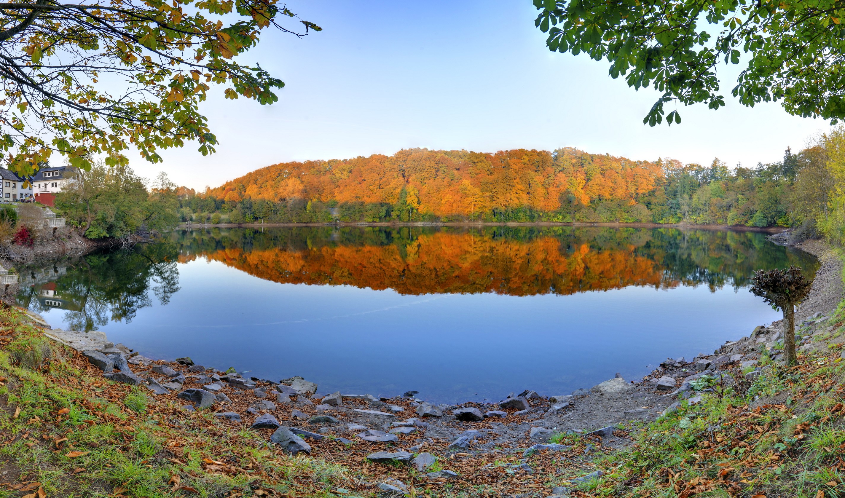 Autumn forest reflected in a calm lake HD Wallpaper