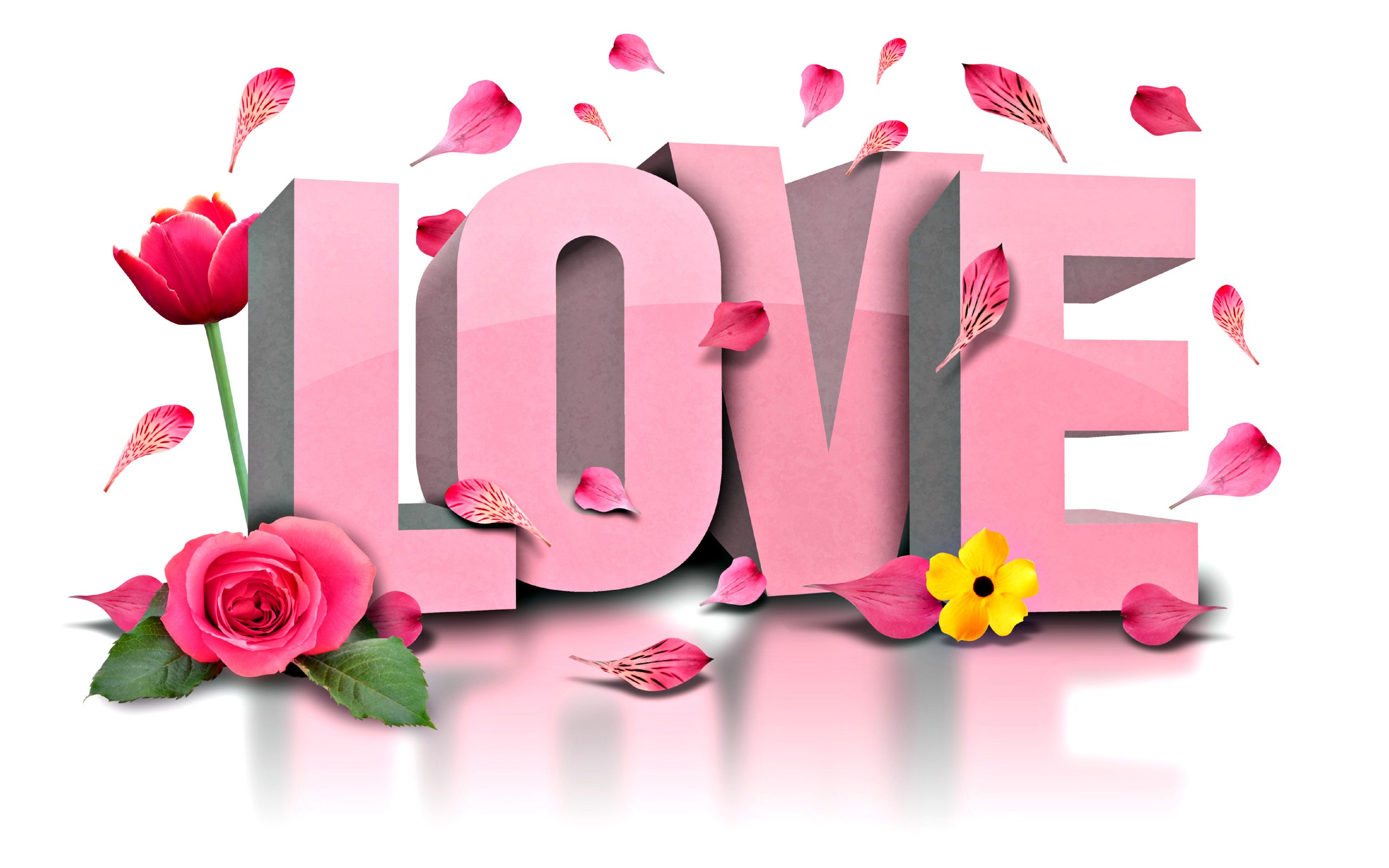 3D pink LOVE text with flowers and petals HD Wallpaper