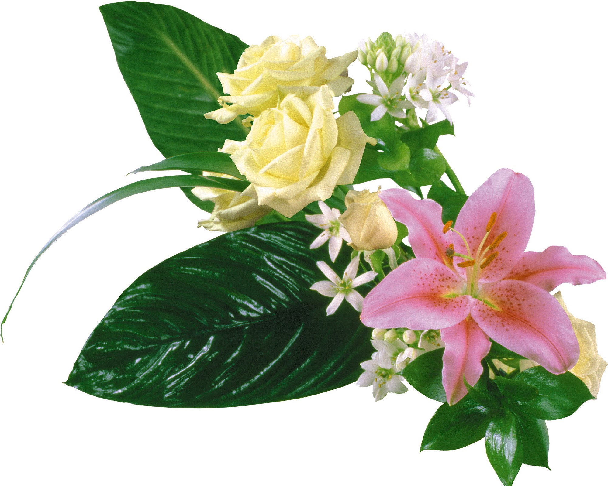 Bouquet of pink lily, yellow roses, and white flowers HD Wallpaper