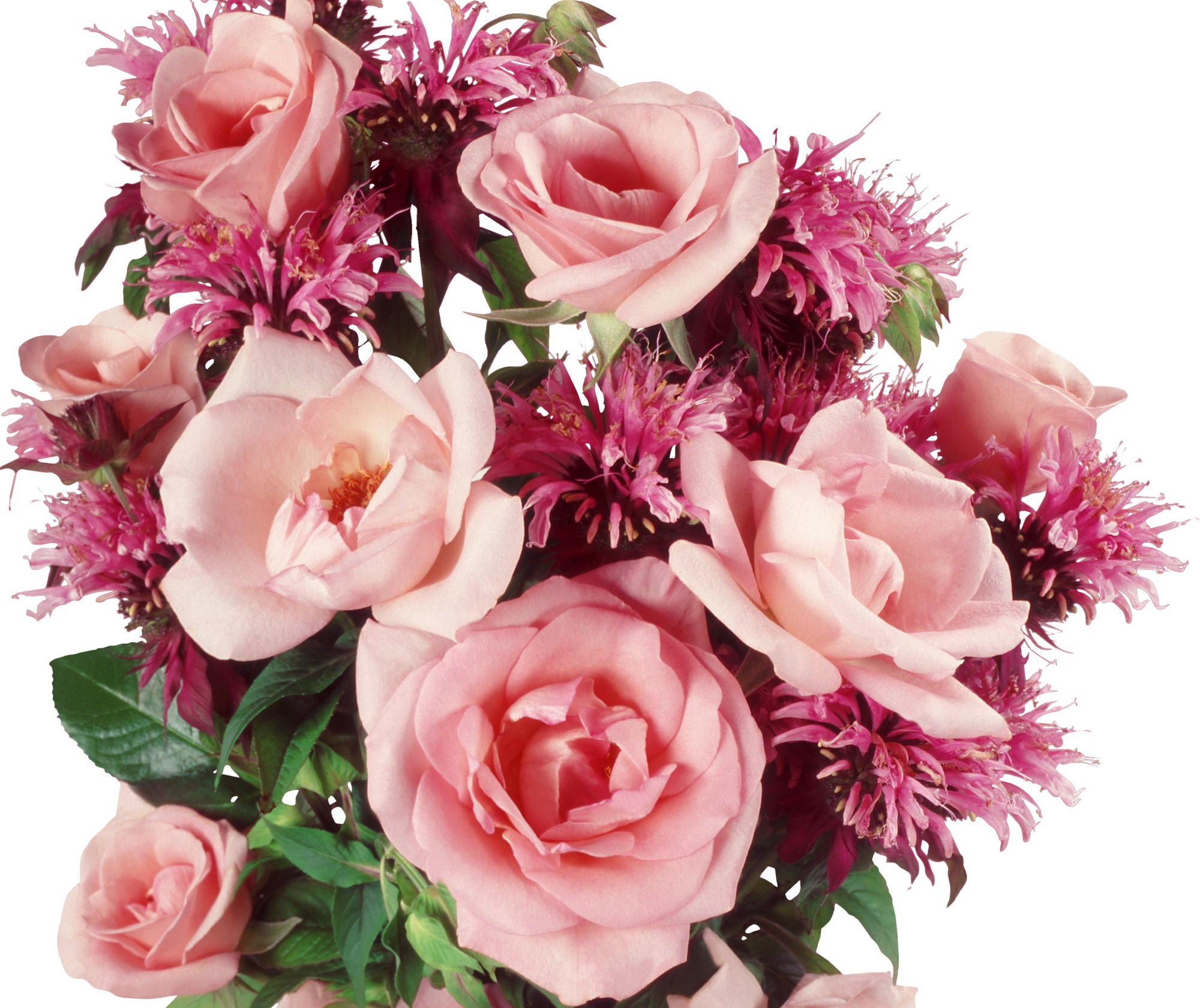 Pink roses and bee balm bouquet HD Wallpaper