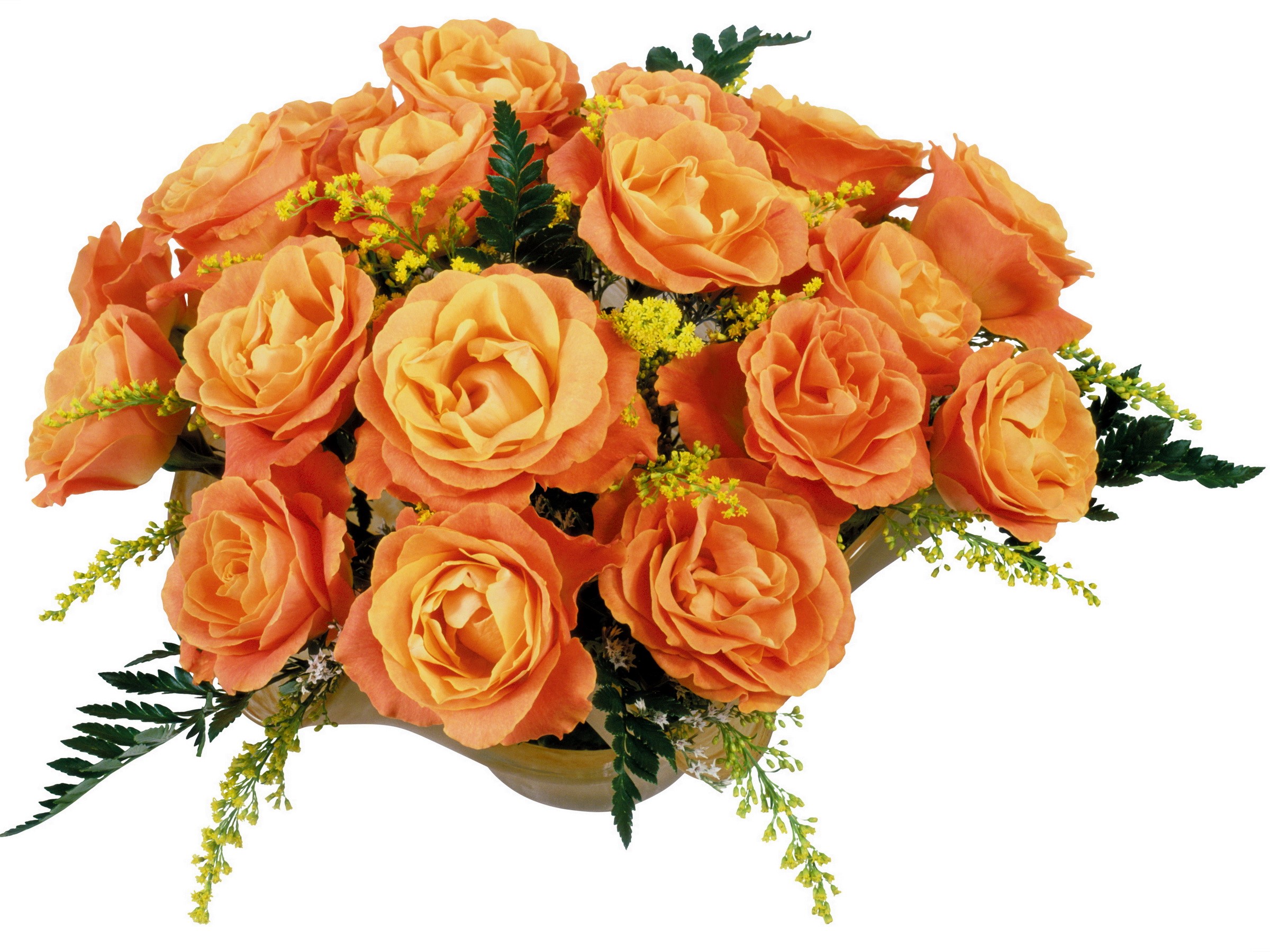 Bouquet of orange roses with yellow accents HD Wallpaper