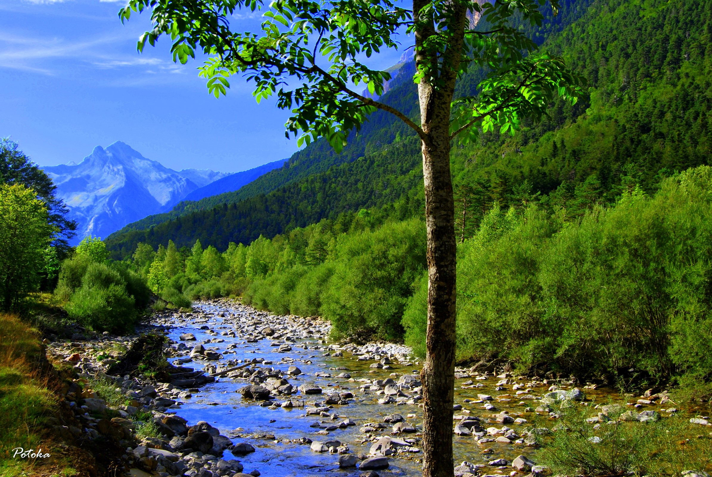 Mountain landscape with a river and trees HD Wallpaper