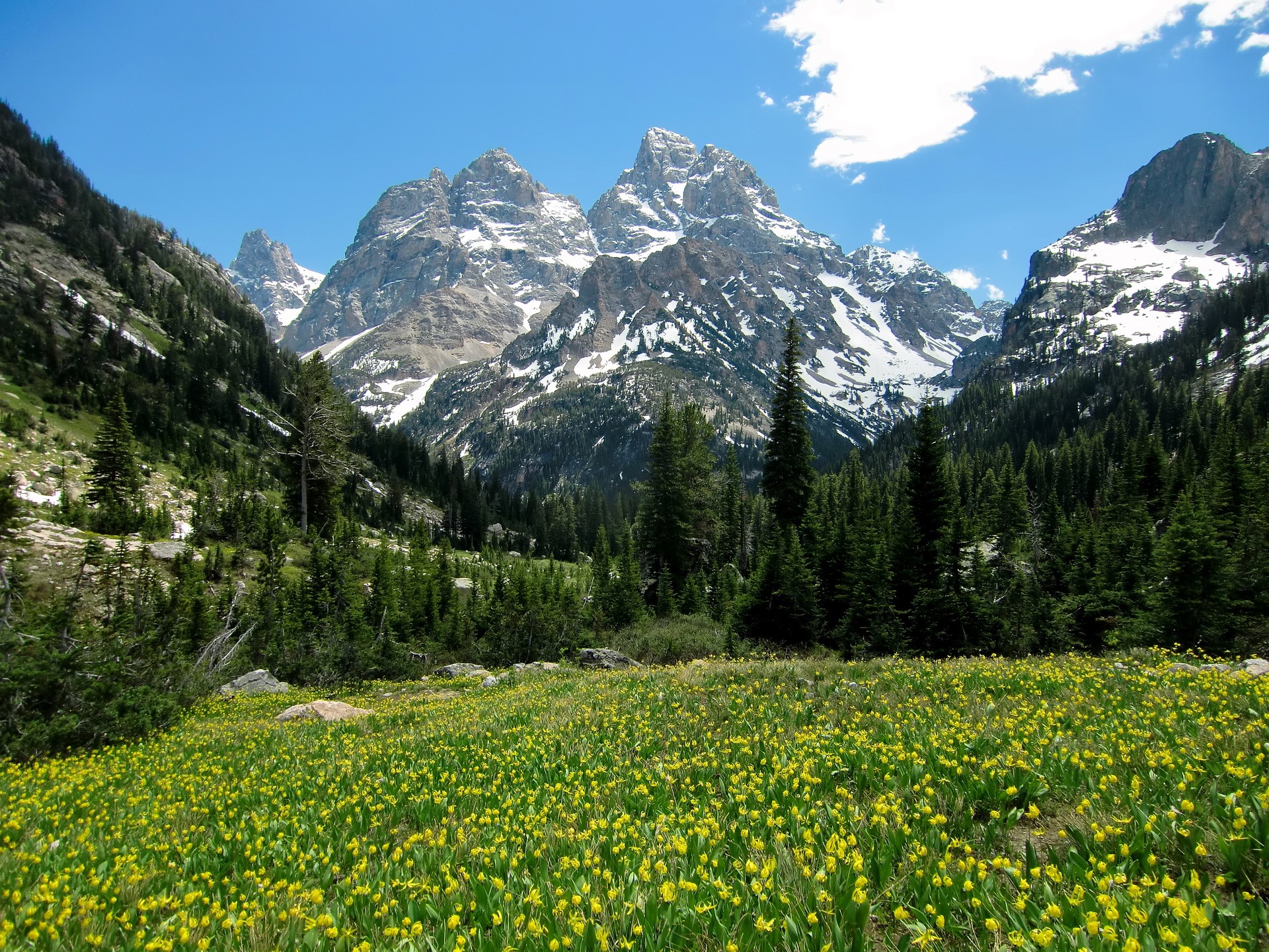 Cascade Canyon Grand Teton National Park Wyoming HD Wallpaper