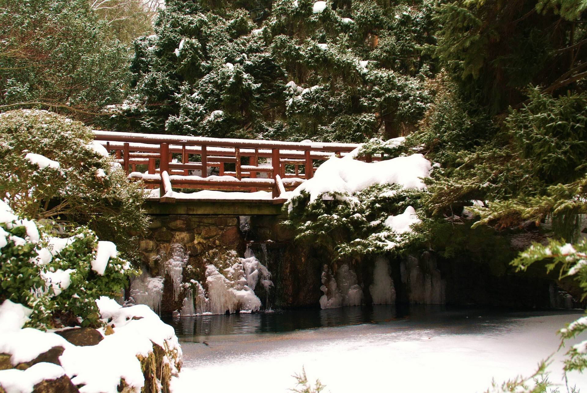 Wooden bridge over a frozen stream in a snowy forest HD Wallpaper