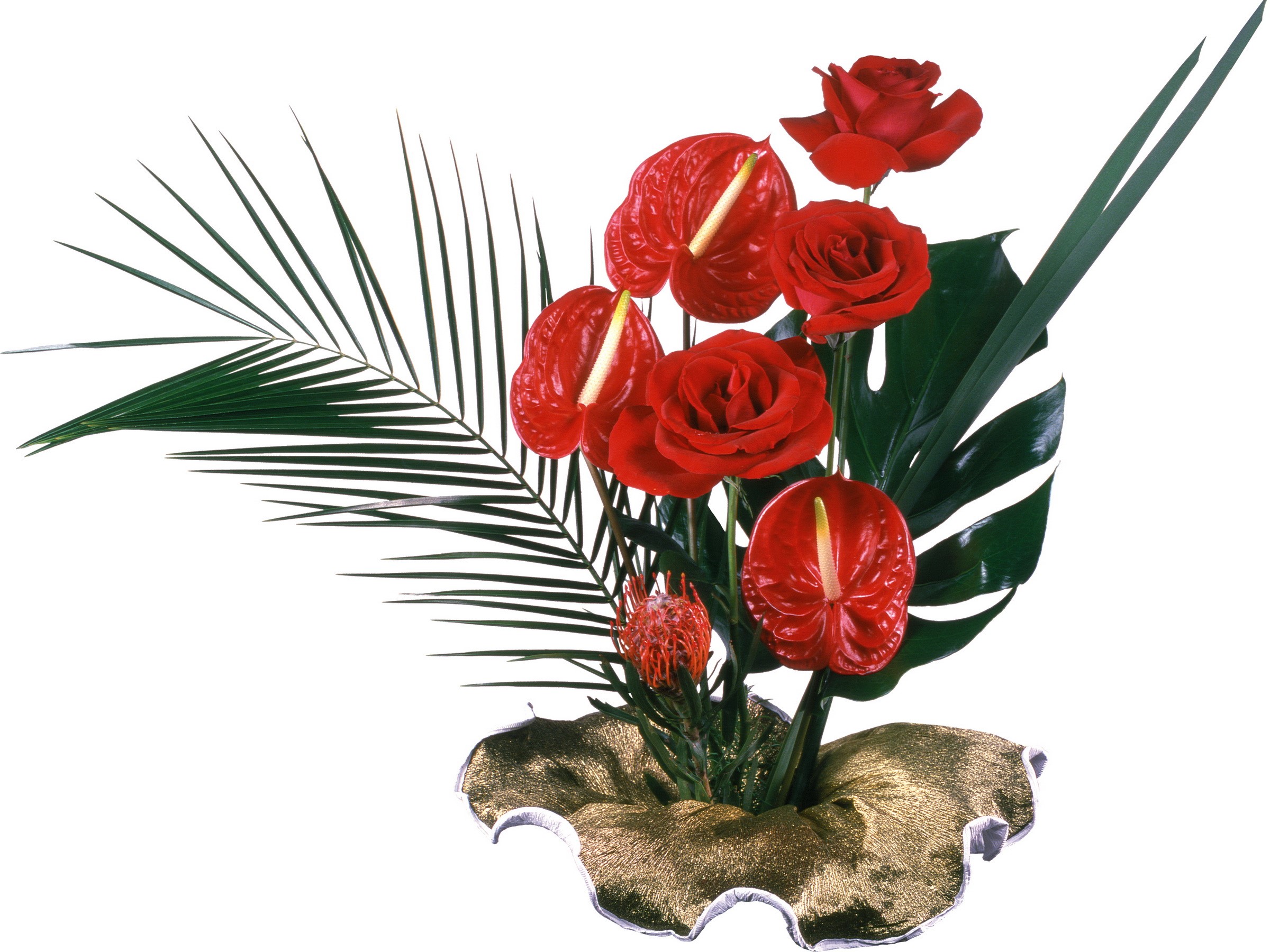 Red Anthurium and Rose Flower Arrangement HD Wallpaper
