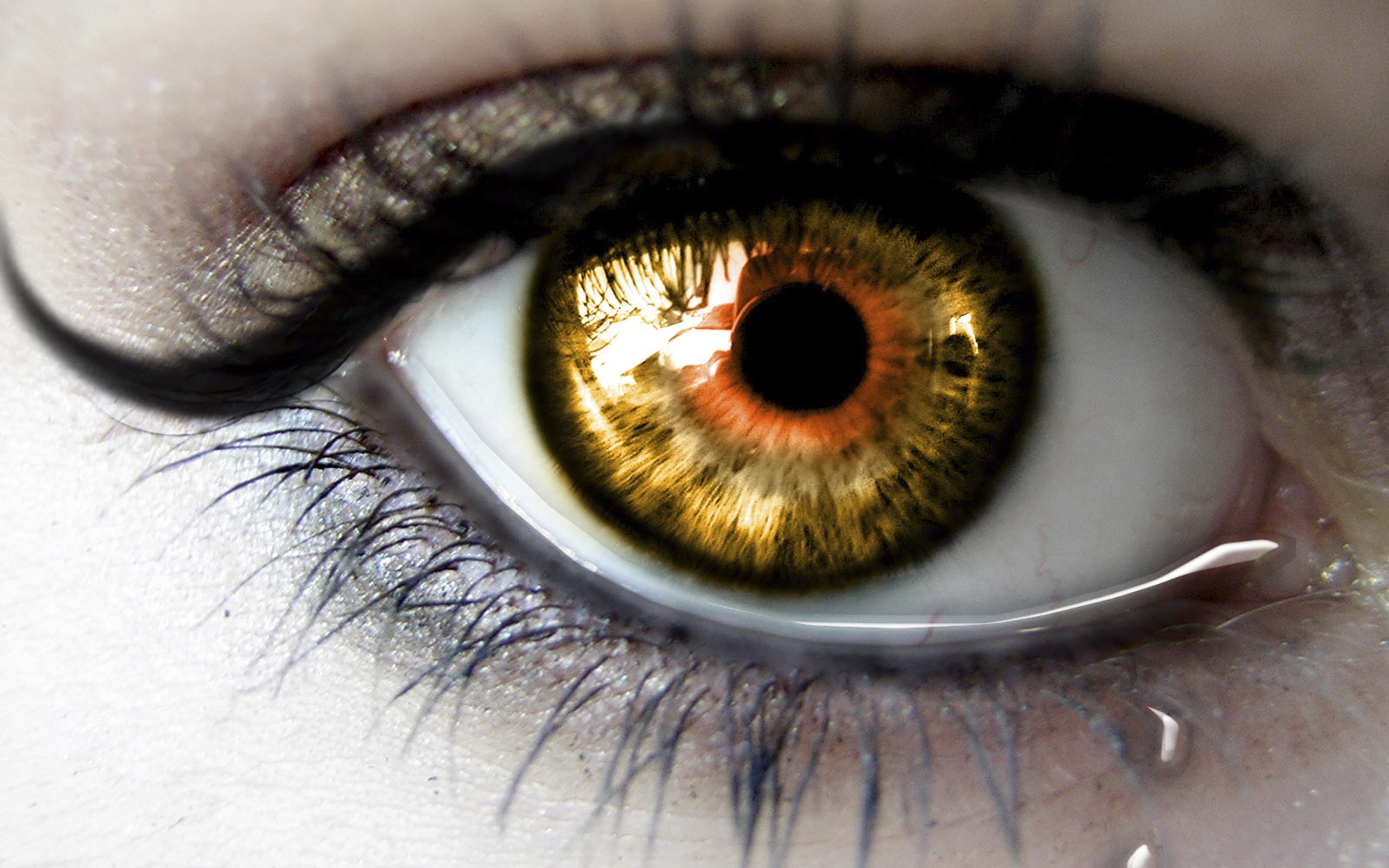 Close-up of a human eye with golden iris and tears HD Wallpaper