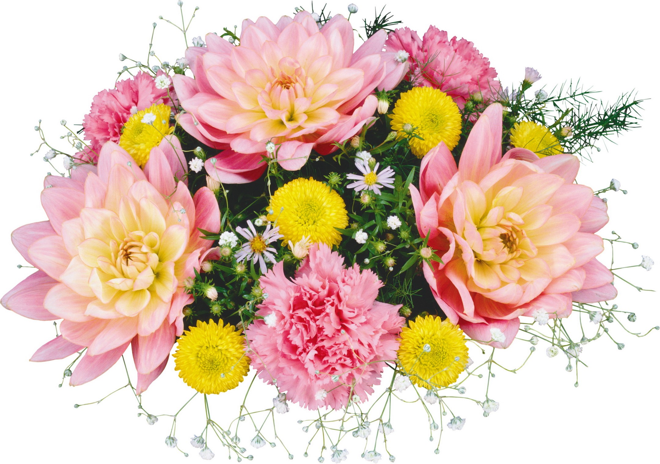 Pink and yellow dahlias with carnations and baby's breath bouquet HD Wallpaper