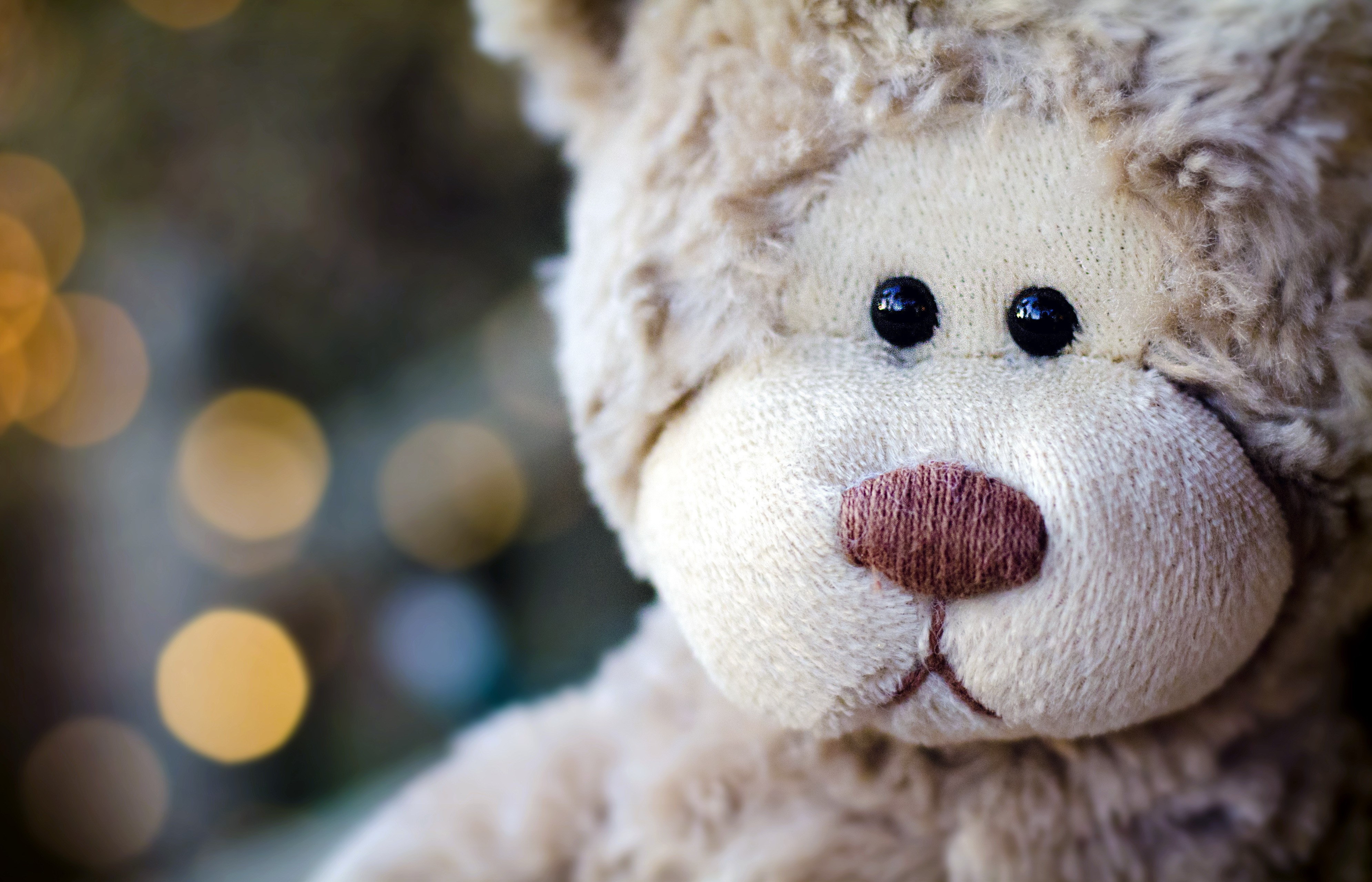 Close-up of a teddy bear toy HD Wallpaper