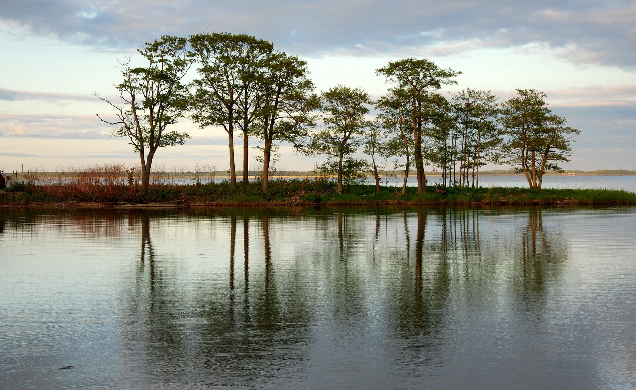 Trees reflected in calm water at sunset HD Wallpaper