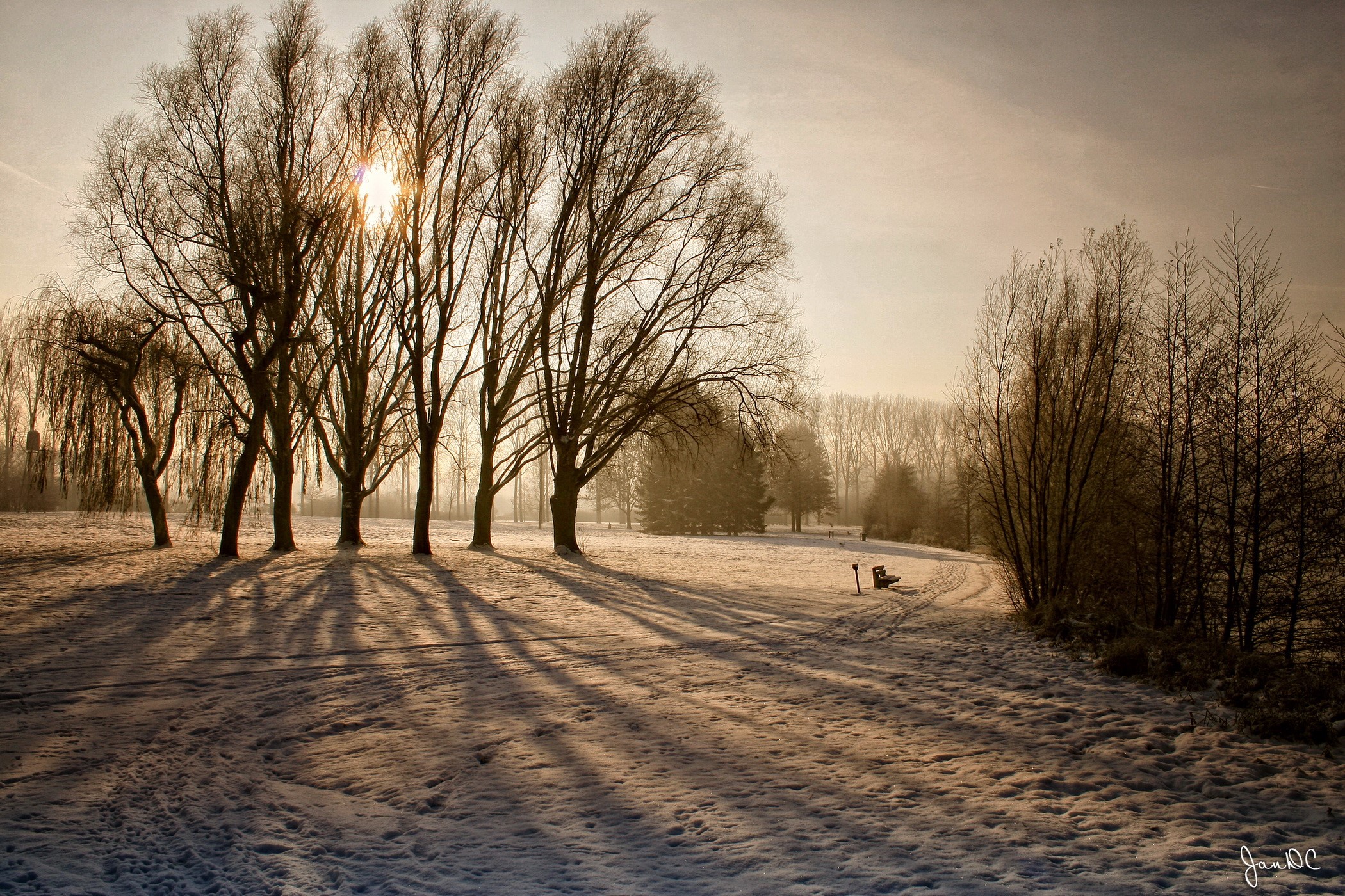 Winter park with snow and bare trees at sunrise HD Wallpaper