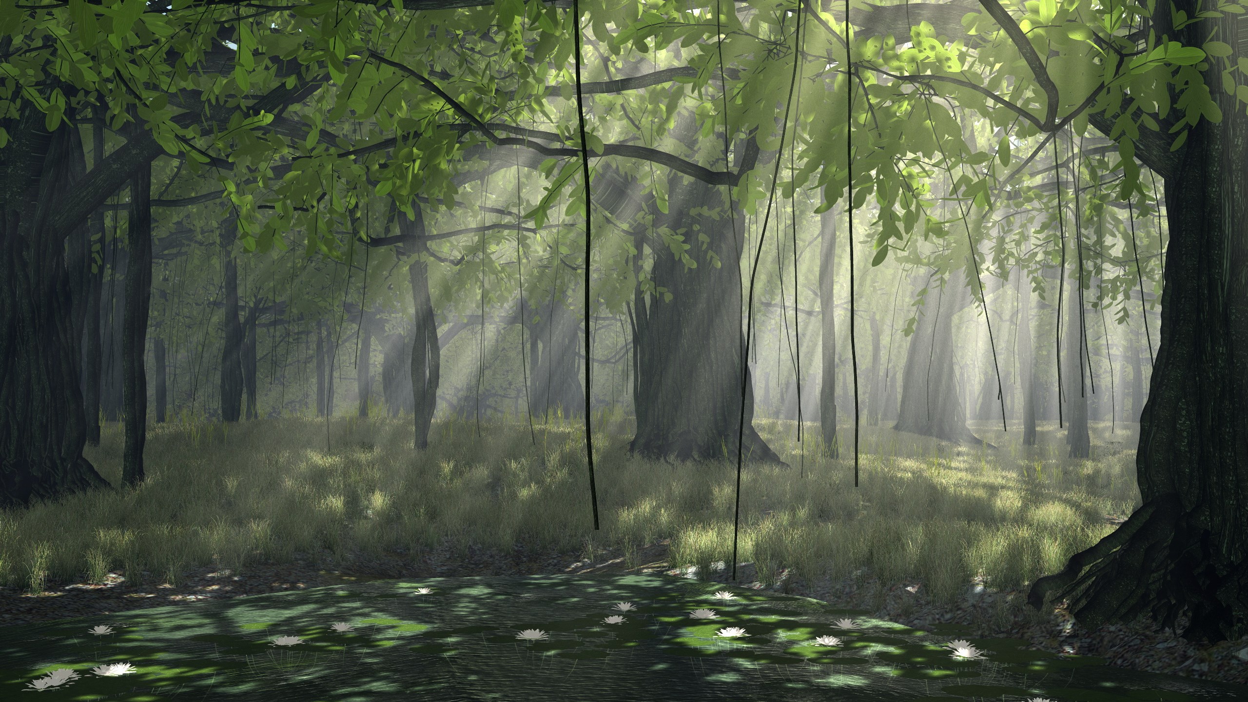Sunlight filtering through a dense, green forest with hanging vines. HD Wallpaper