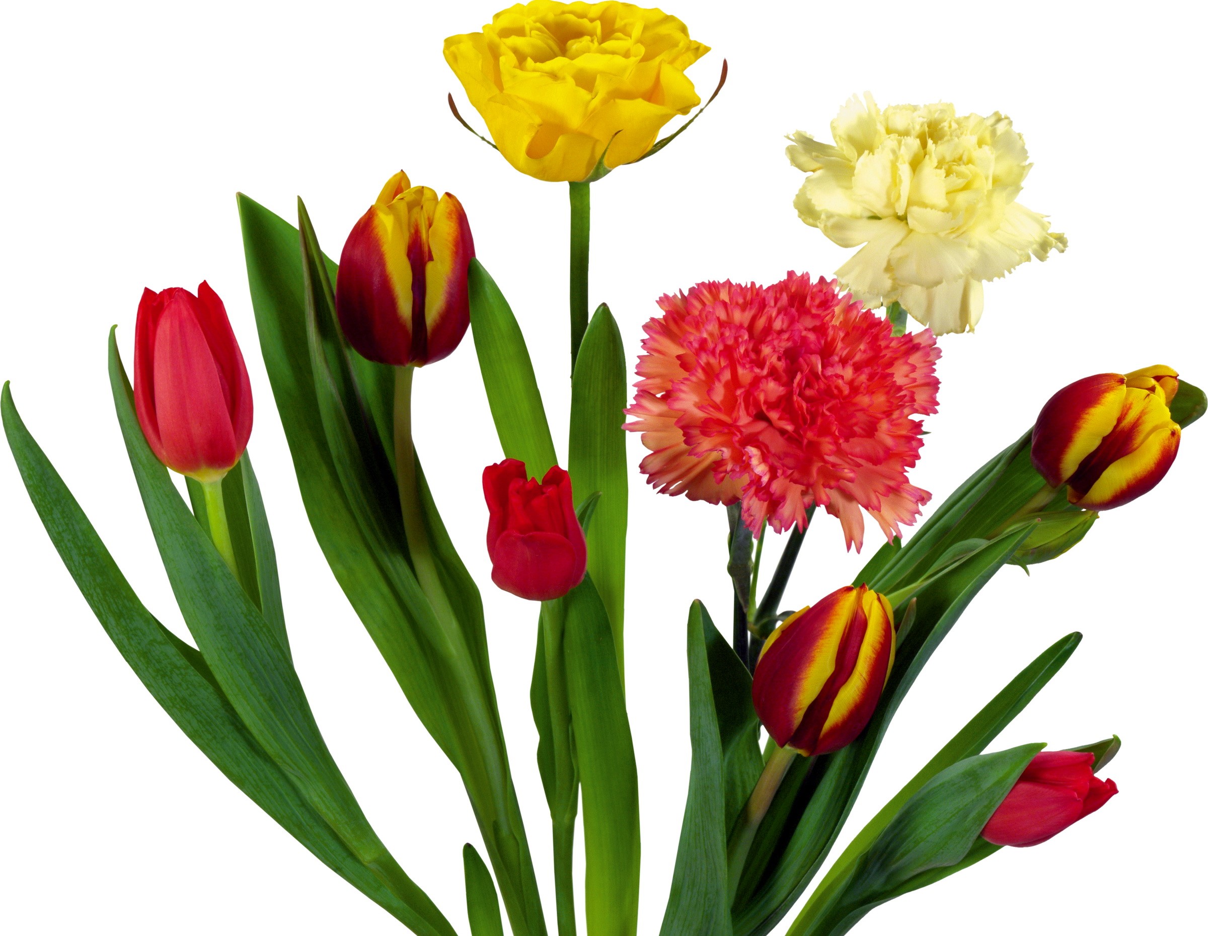 Bouquet of red, yellow, and pink flowers HD Wallpaper
