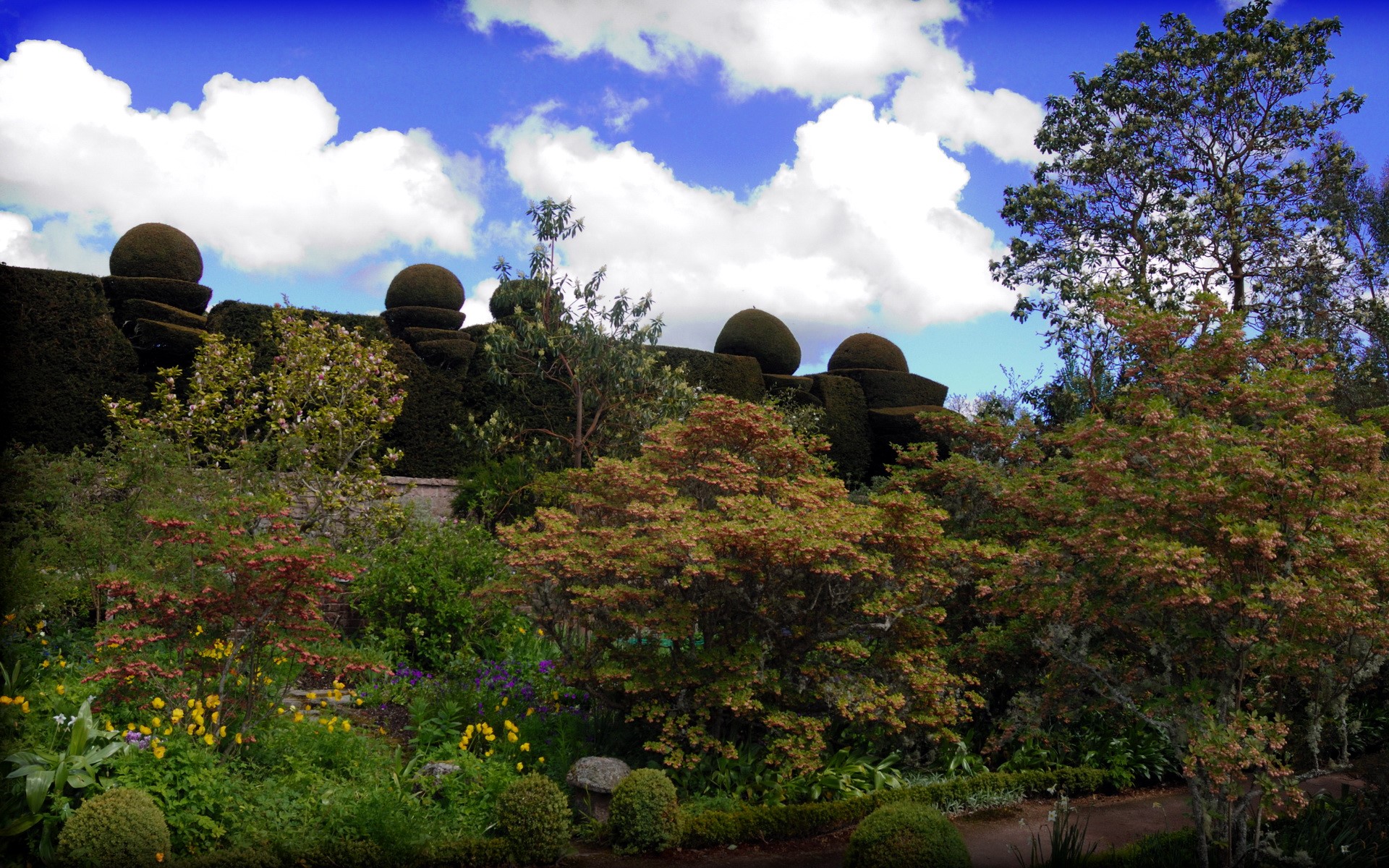 Topiary garden with blooming flowers and trees HD Wallpaper