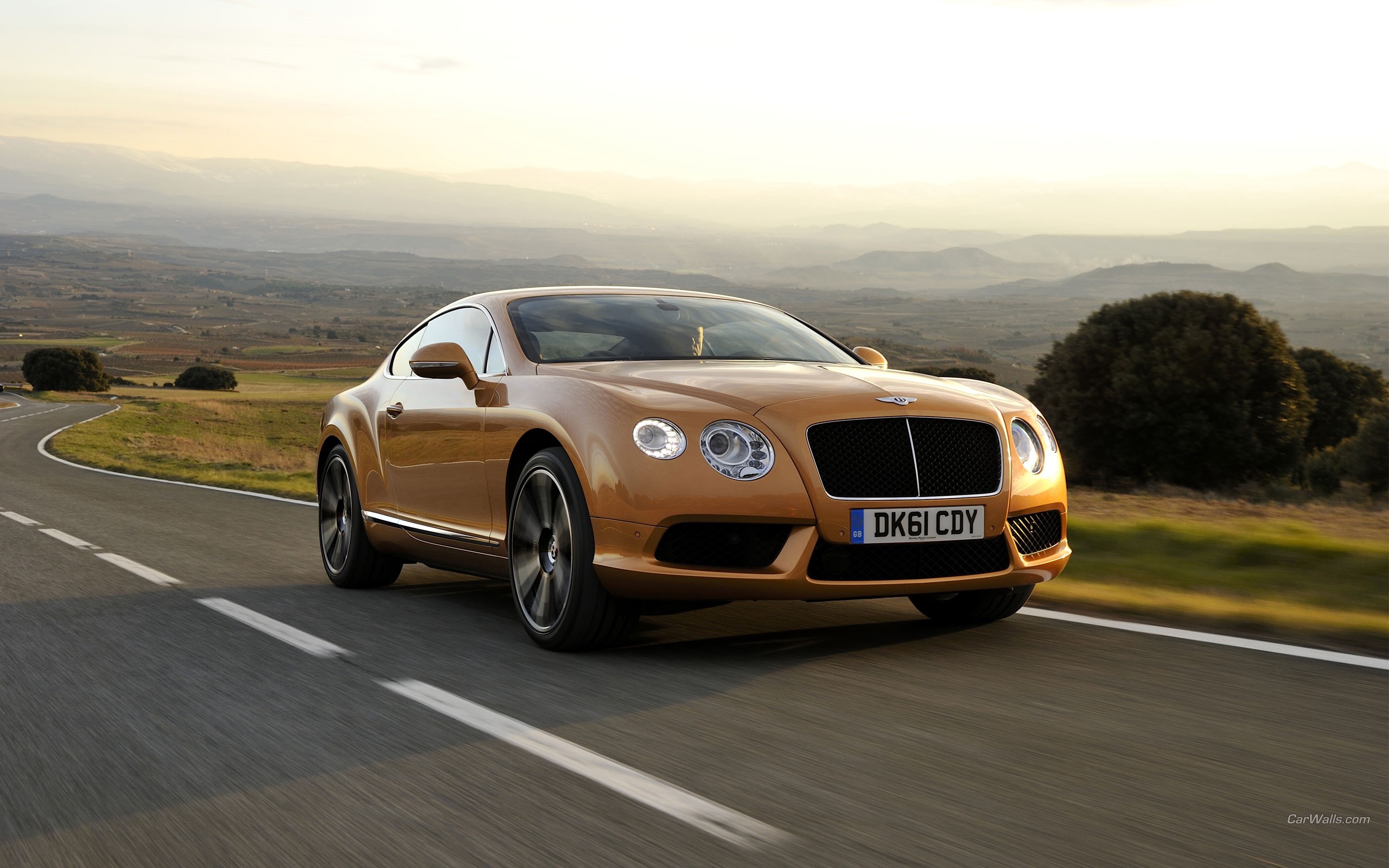 Bentley Continental GT driving on a scenic road HD Wallpaper