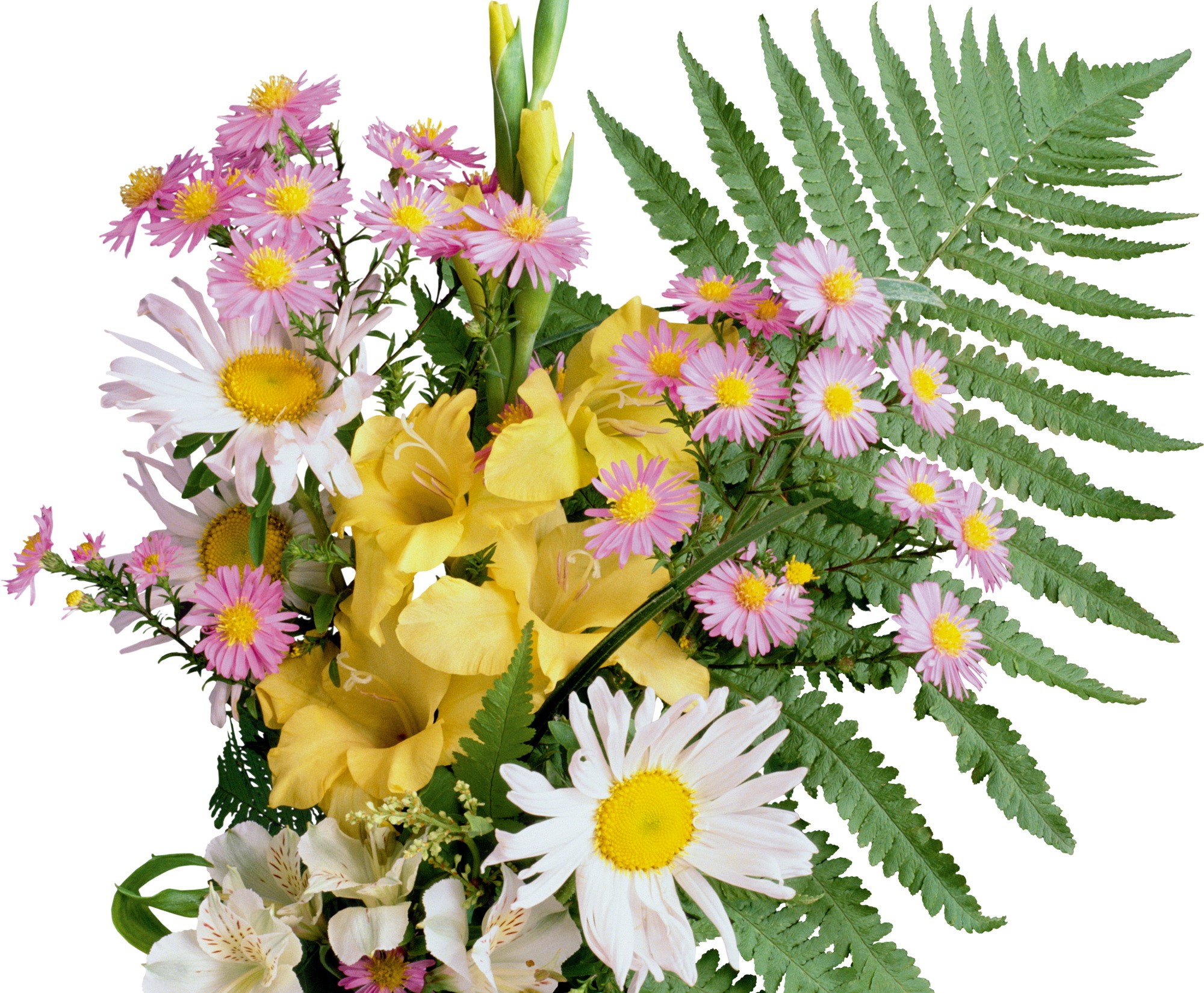 Bouquets of flowers and ferns HD Wallpaper