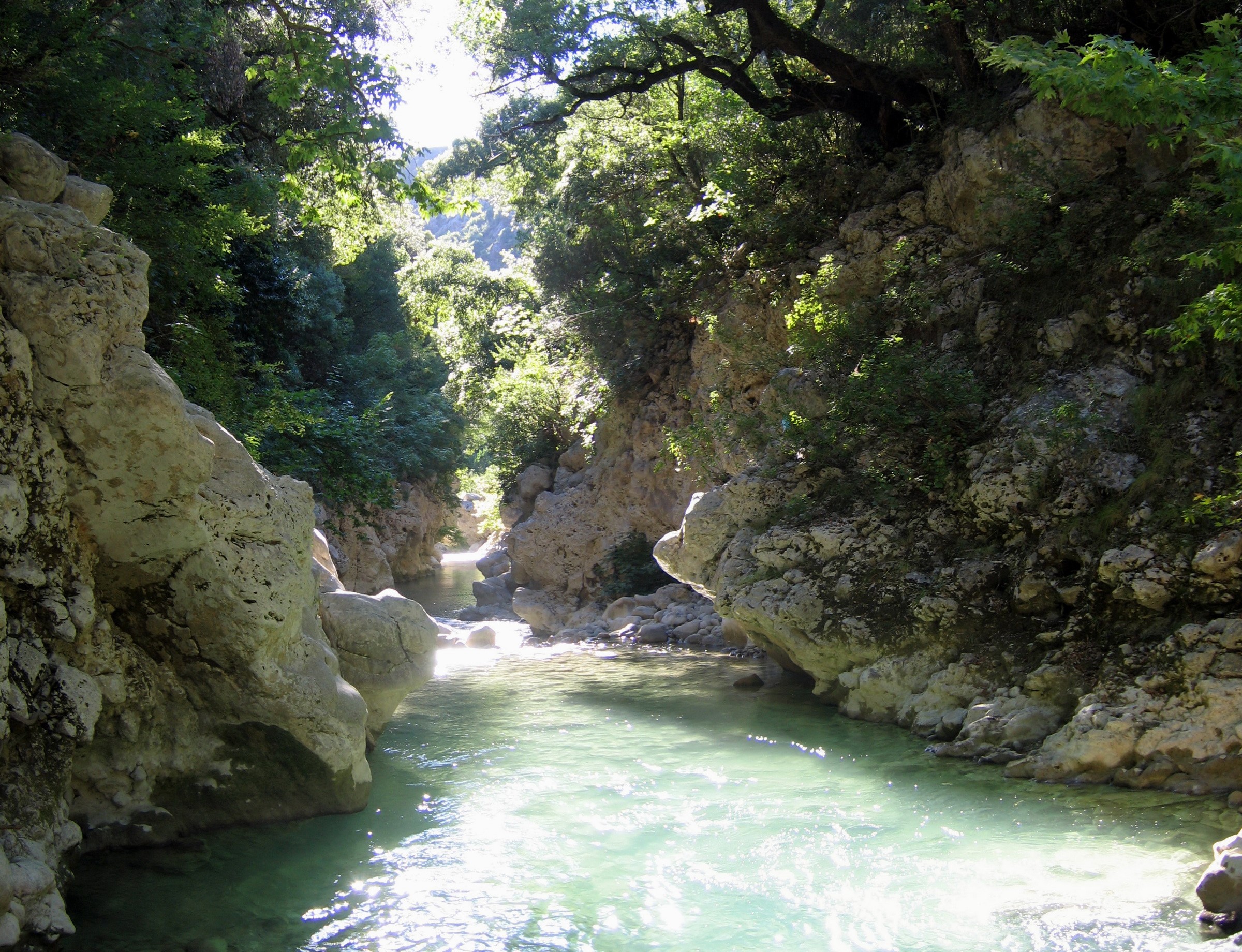 River flowing through a rocky gorge with trees HD Wallpaper