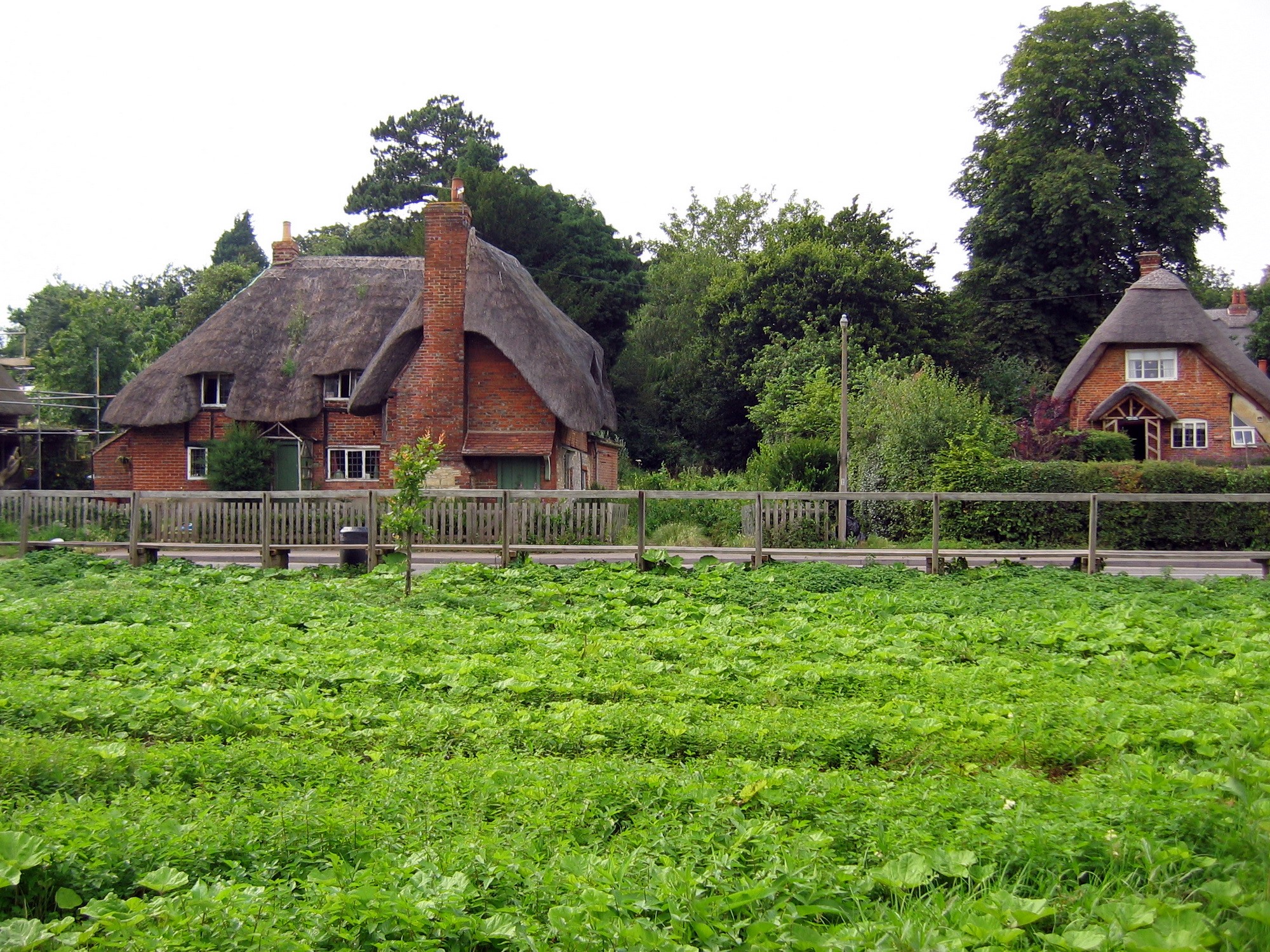 Thatched roof cottages in the United Kingdom HD Wallpaper