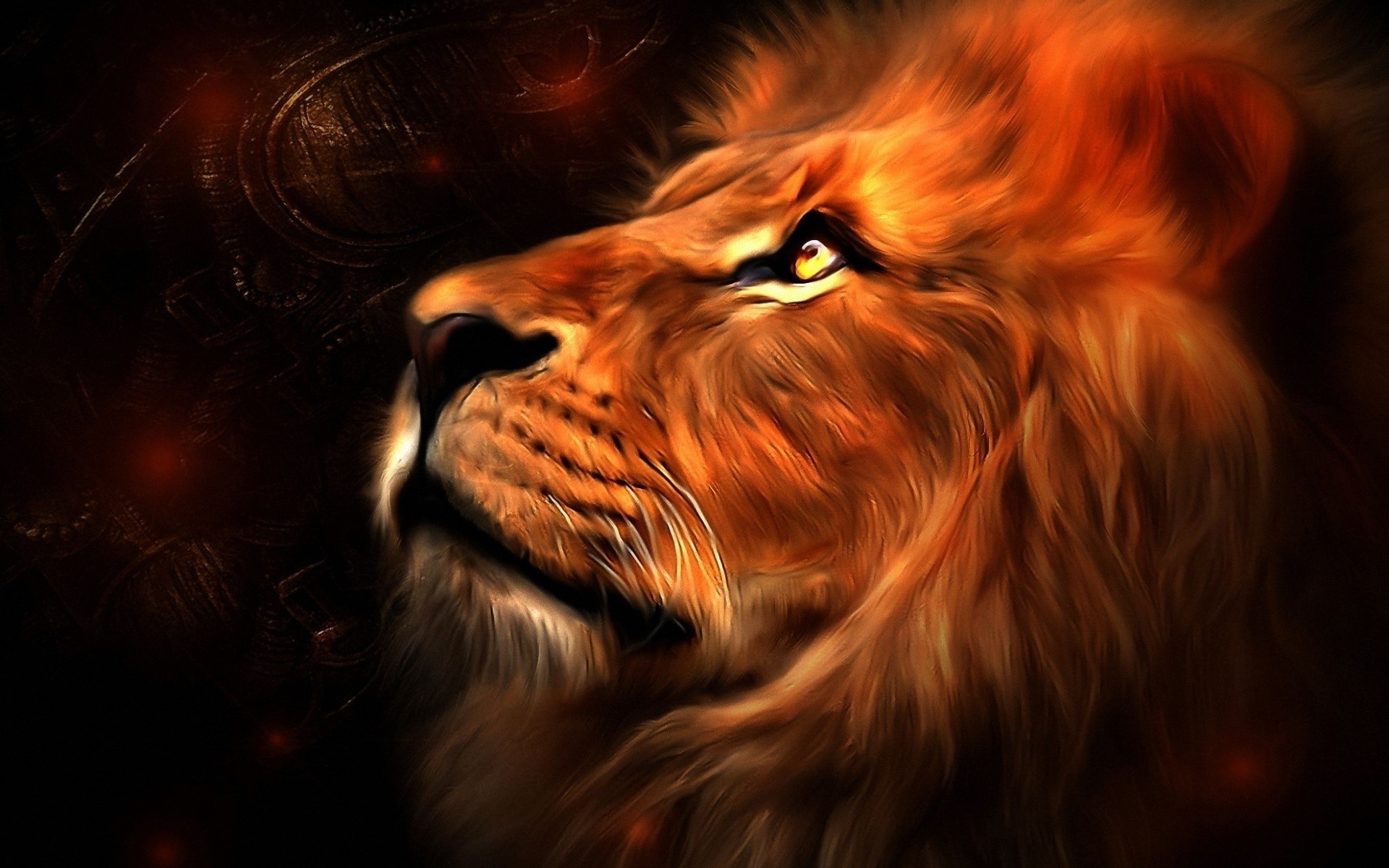 Close-up of a majestic lion's face HD Wallpaper