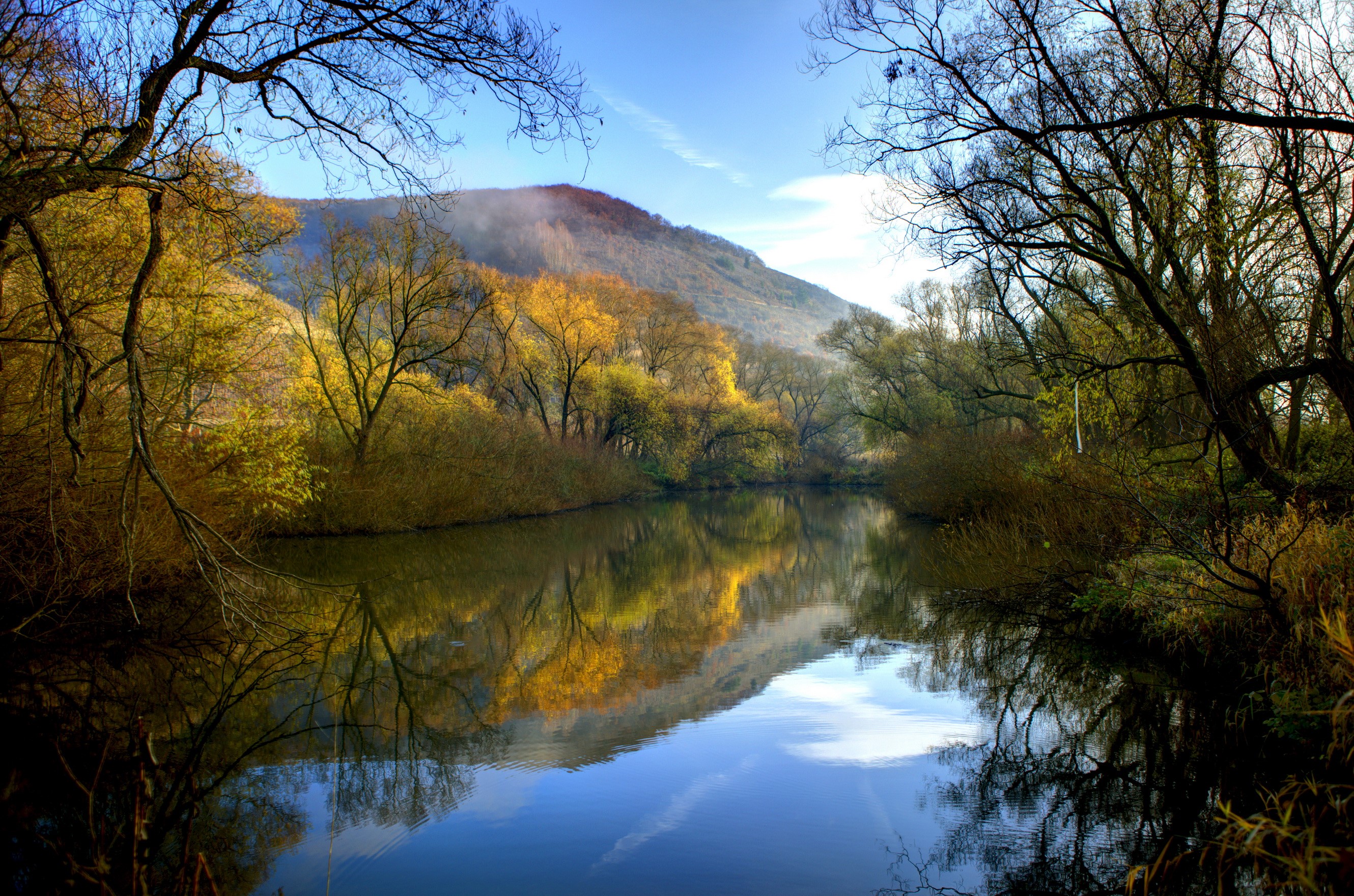 Autumn trees reflected in a calm river HD Wallpaper