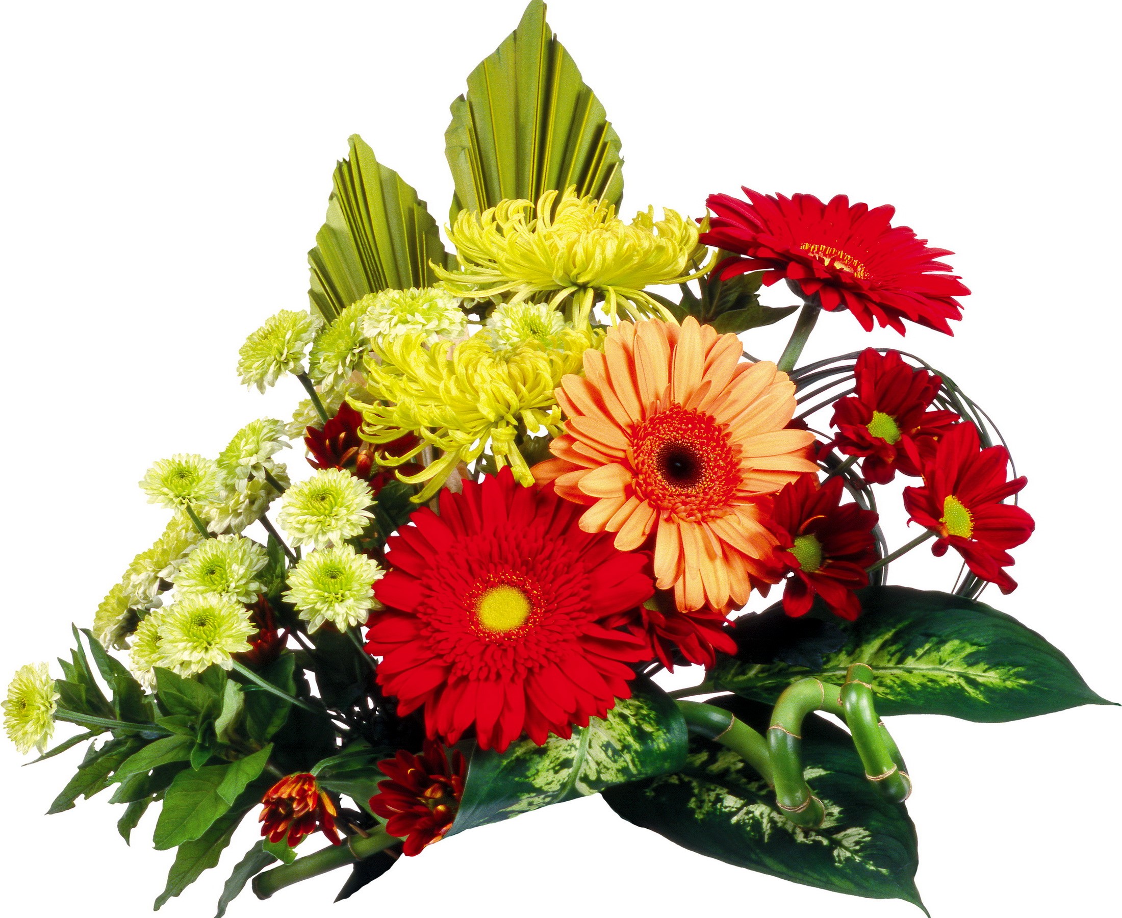 Colorful flower bouquet with green leaves and bamboo HD Wallpaper