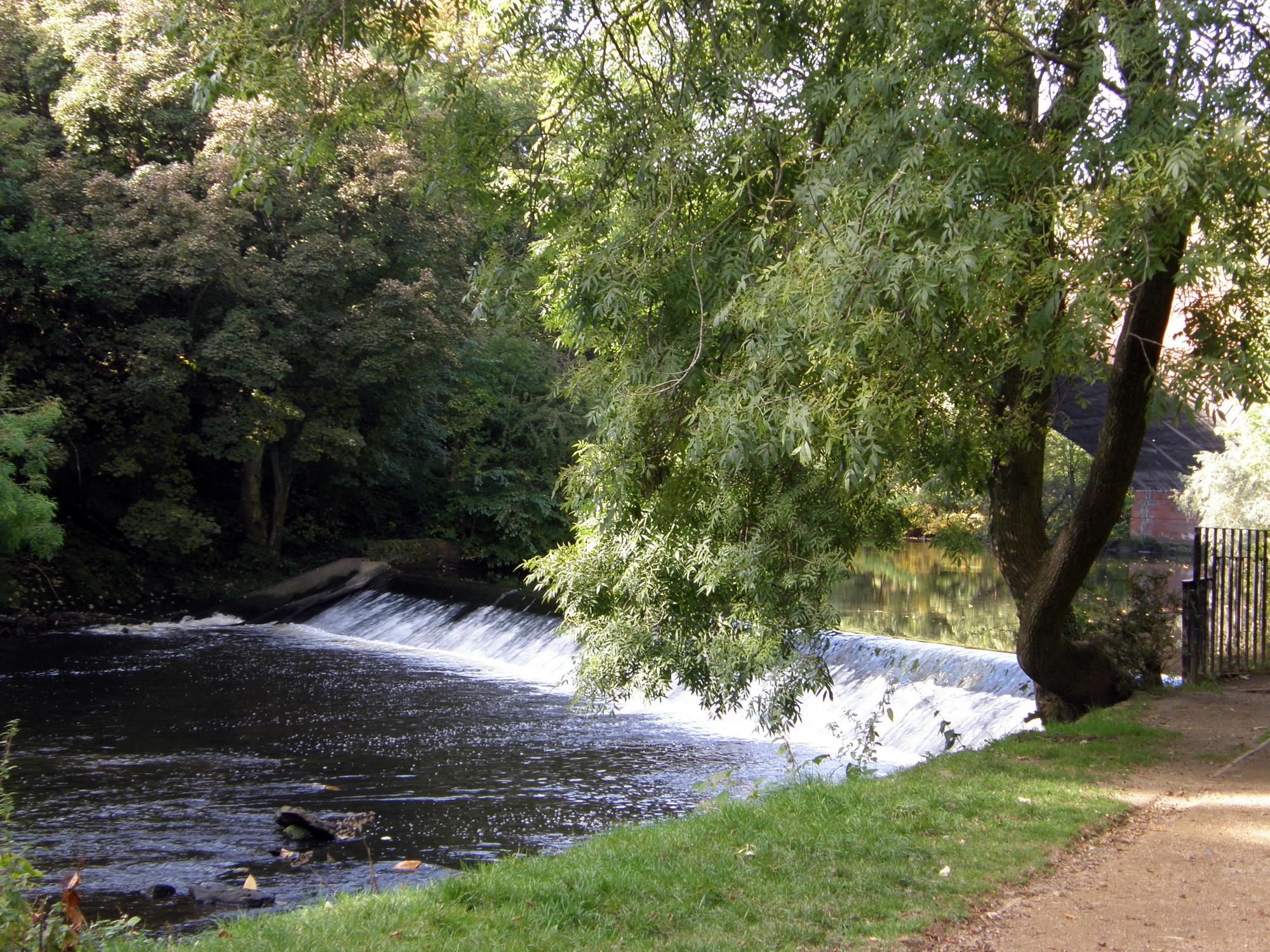 River with a small waterfall and trees HD Wallpaper