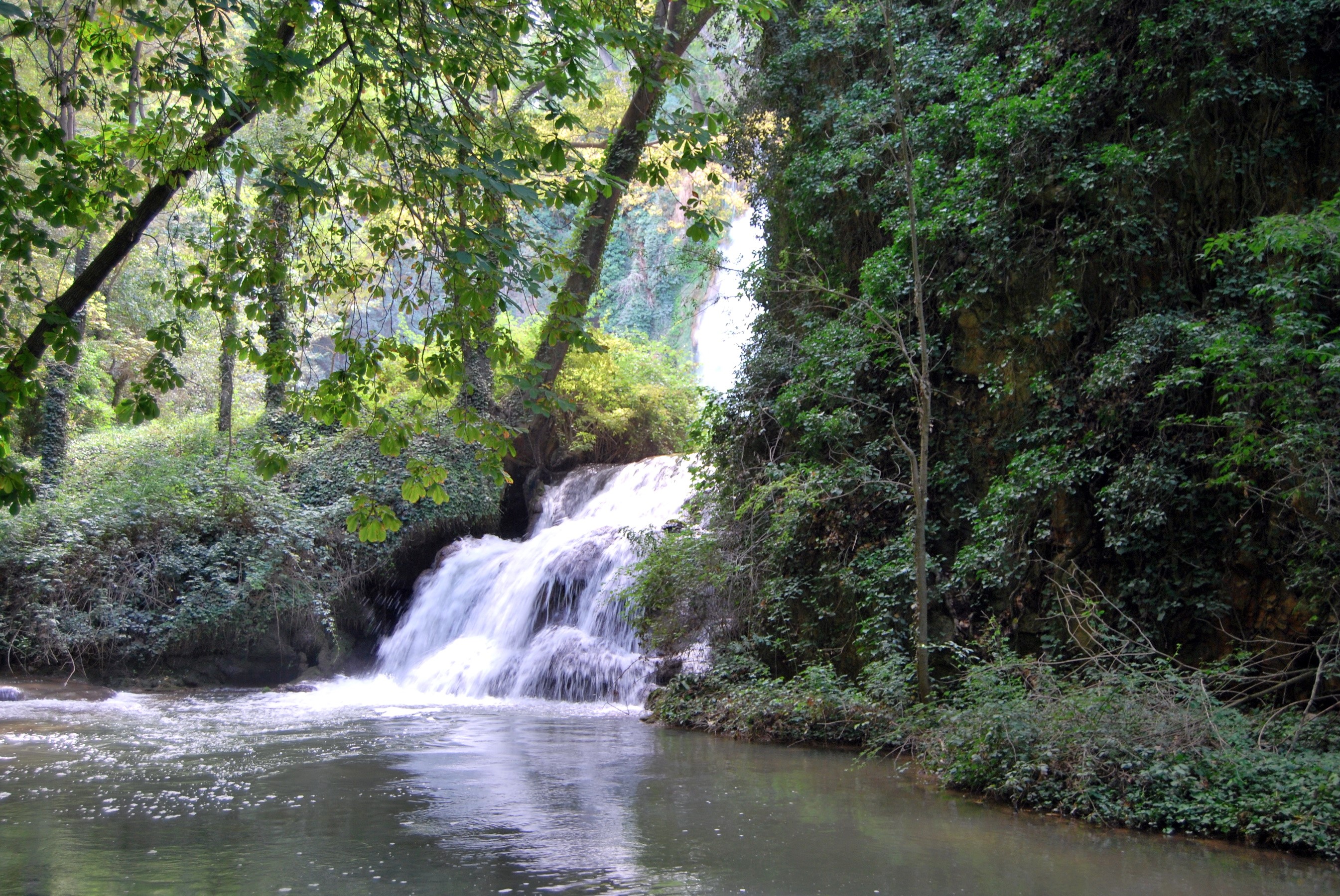 Waterfall in a lush green forest HD Wallpaper