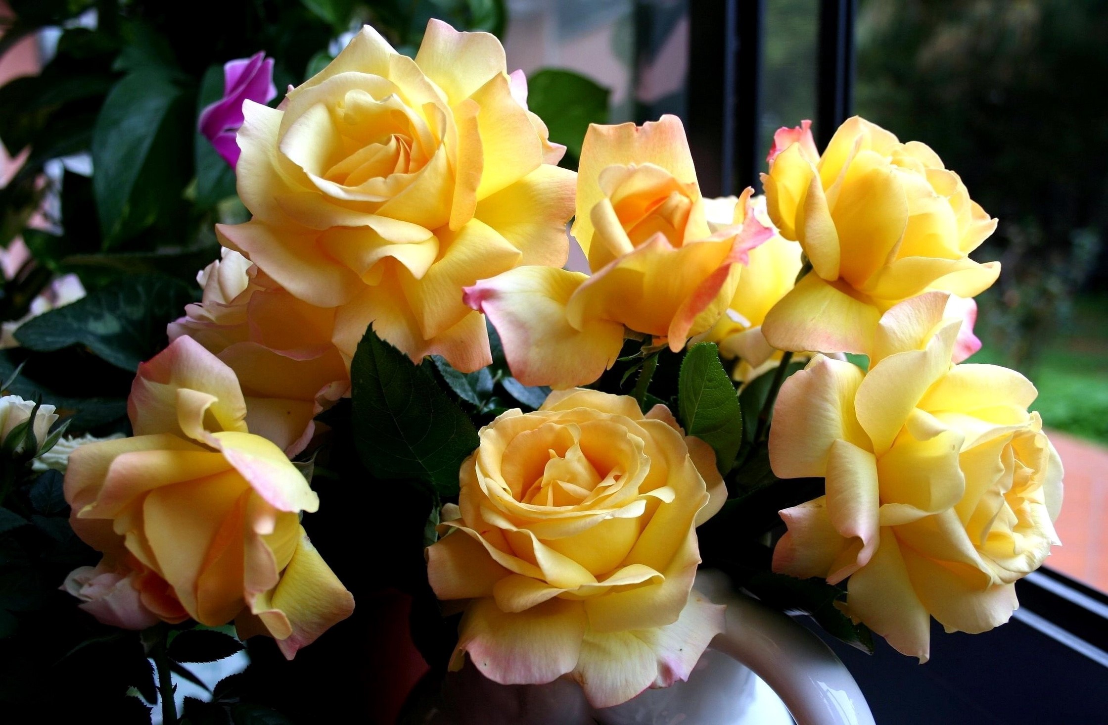 Yellow and pink roses in a vase HD Wallpaper