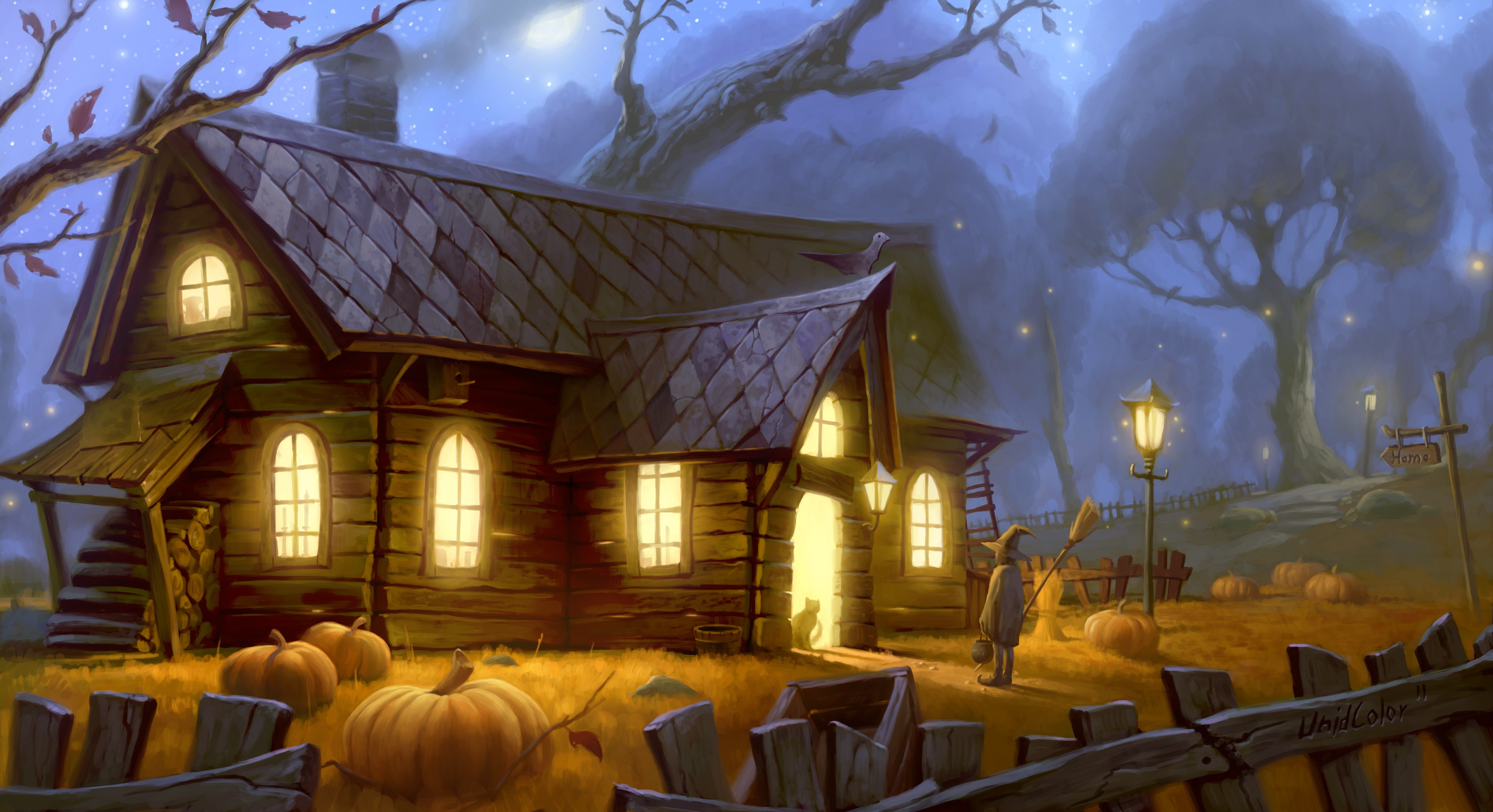 Halloween night with a witch and pumpkins HD Wallpaper