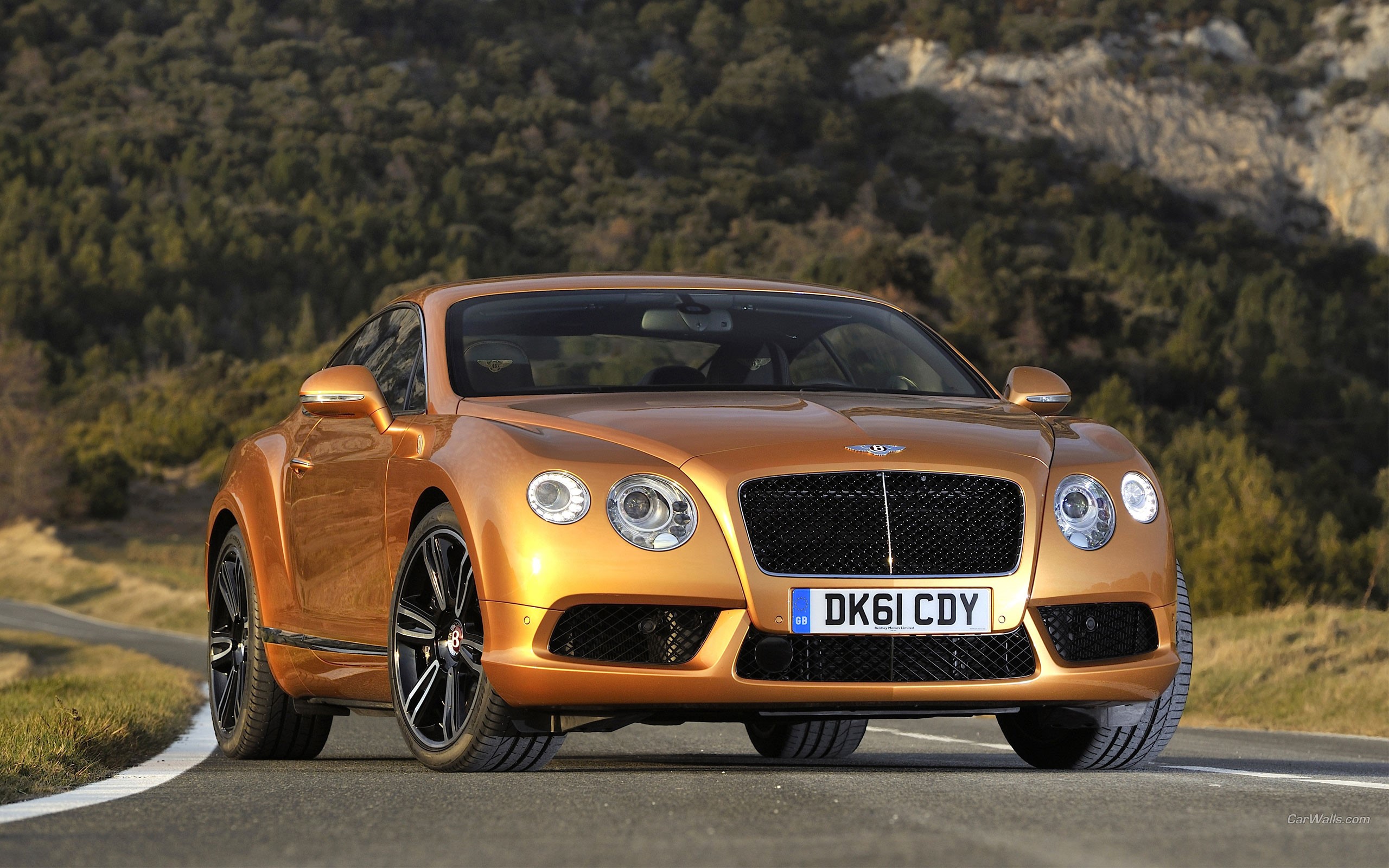 Bentley Continental GT Coupe on a Road HD Wallpaper