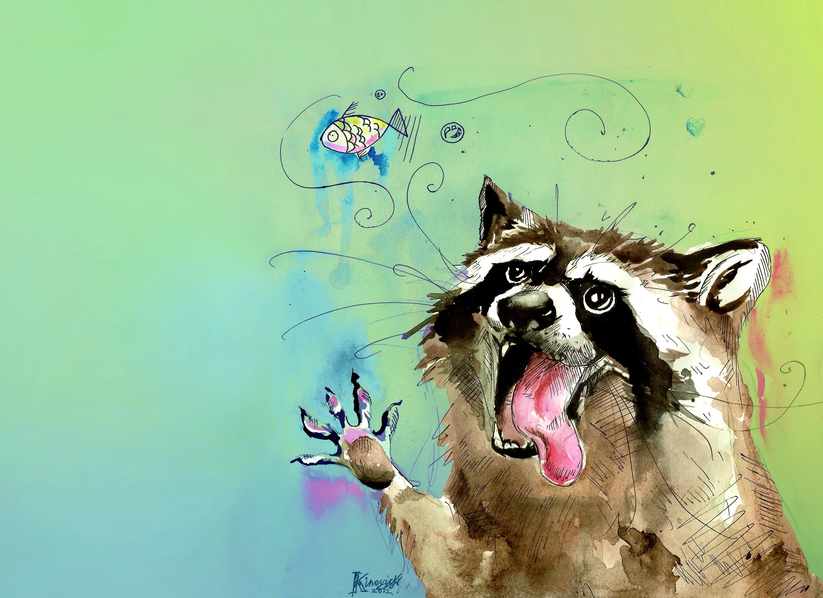 Raccoon reaching for a fish HD Wallpaper