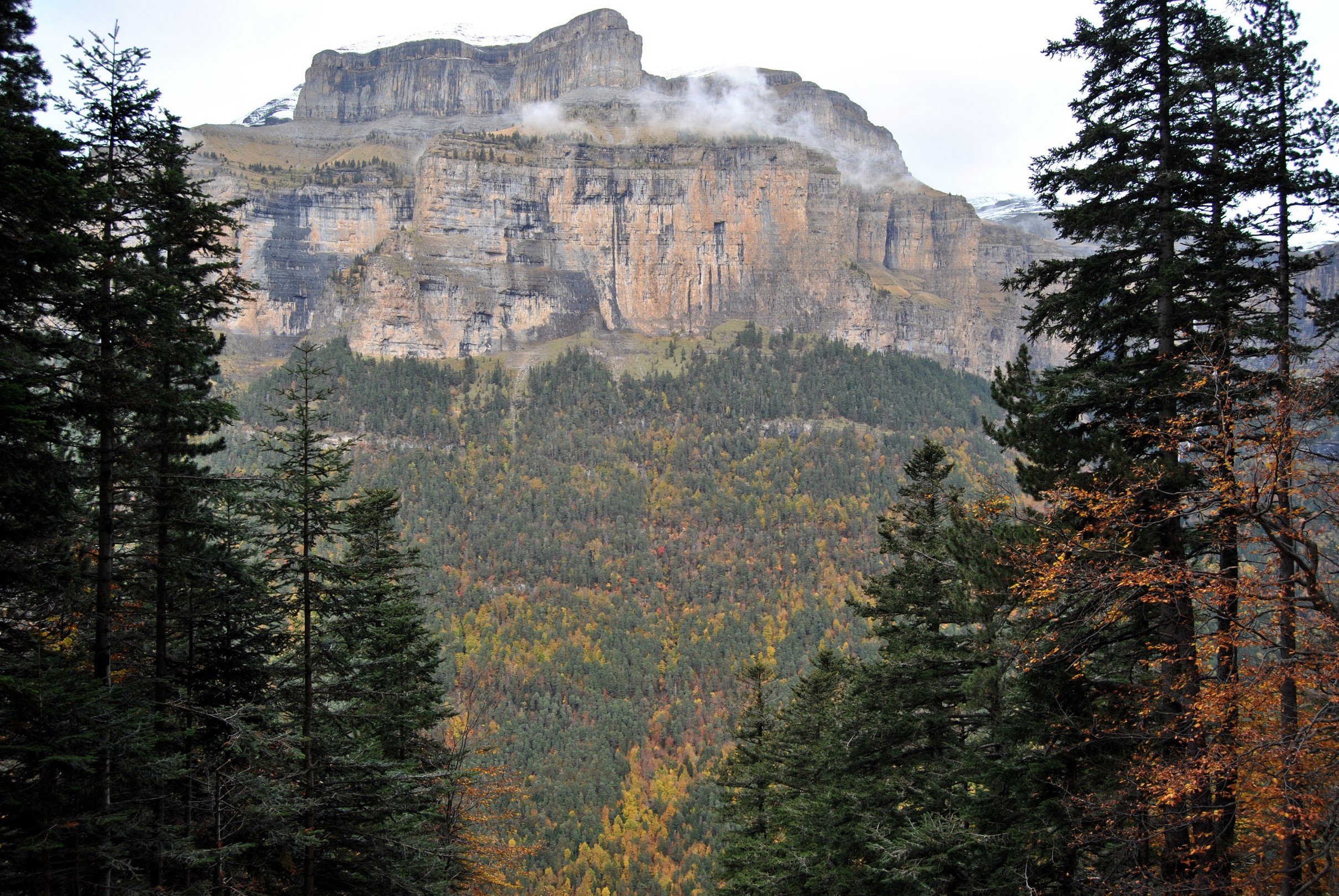 Mountains with forest and trees HD Wallpaper