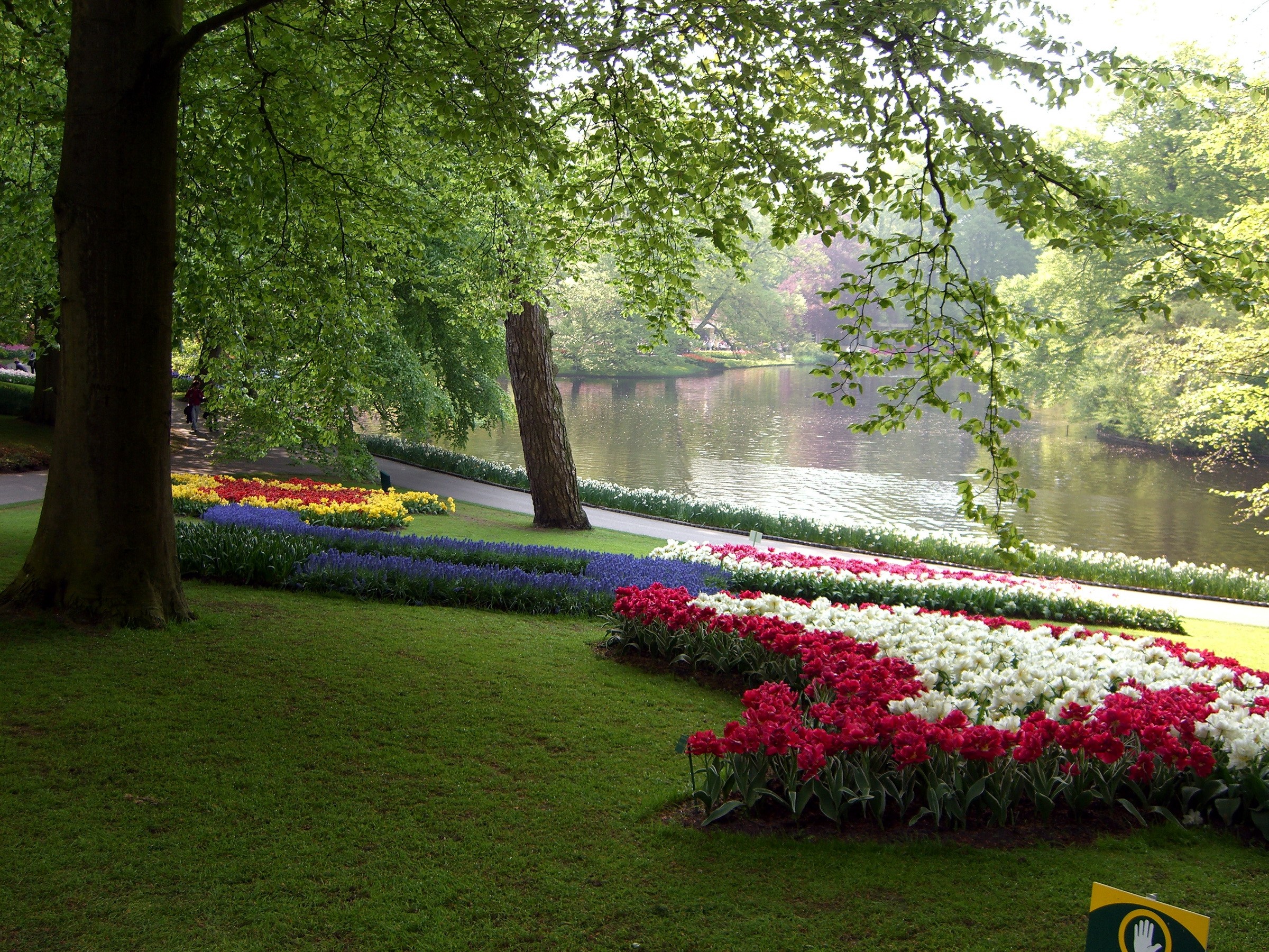 Park with flower beds and a lake HD Wallpaper