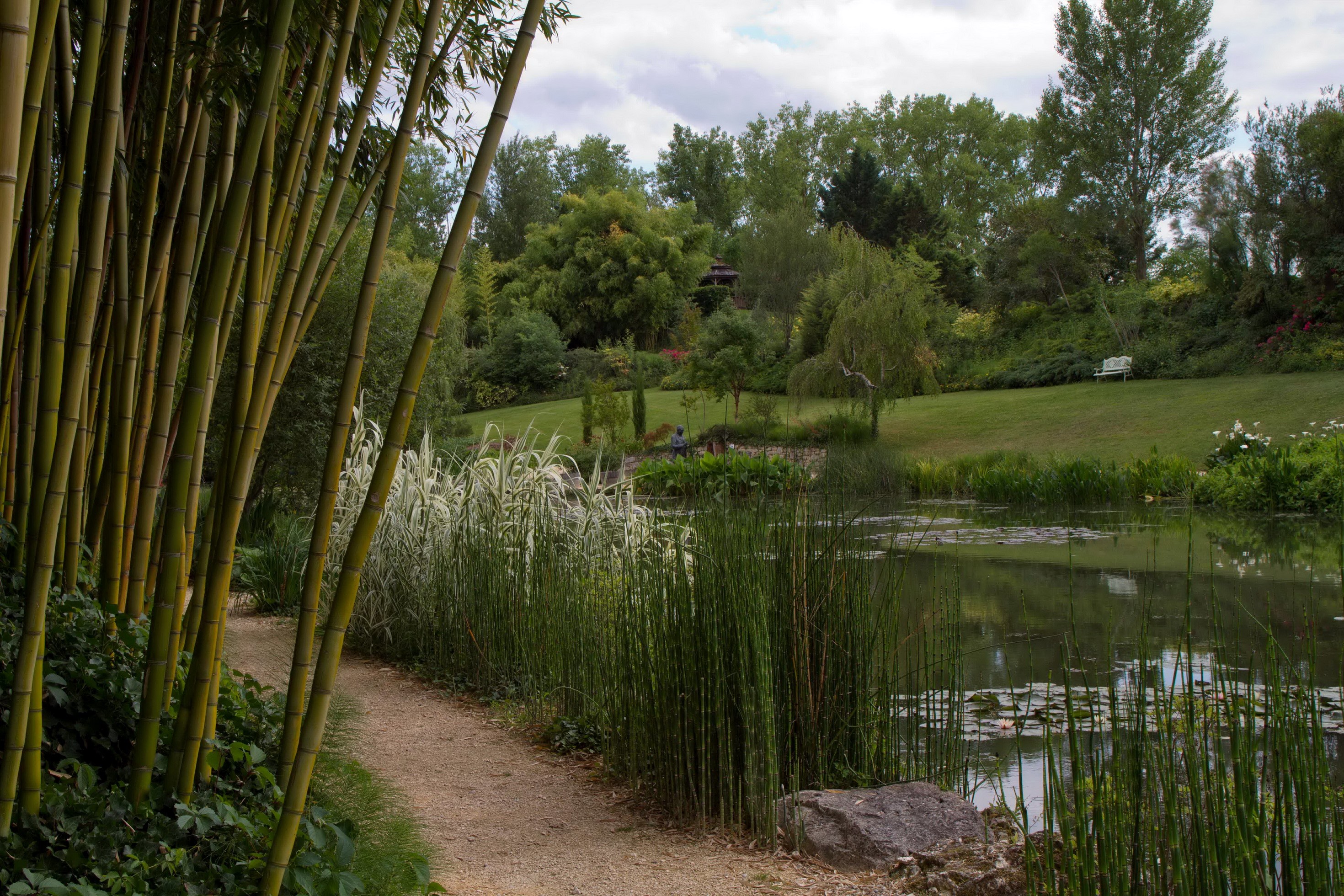 Bamboo path by a pond in a park HD Wallpaper