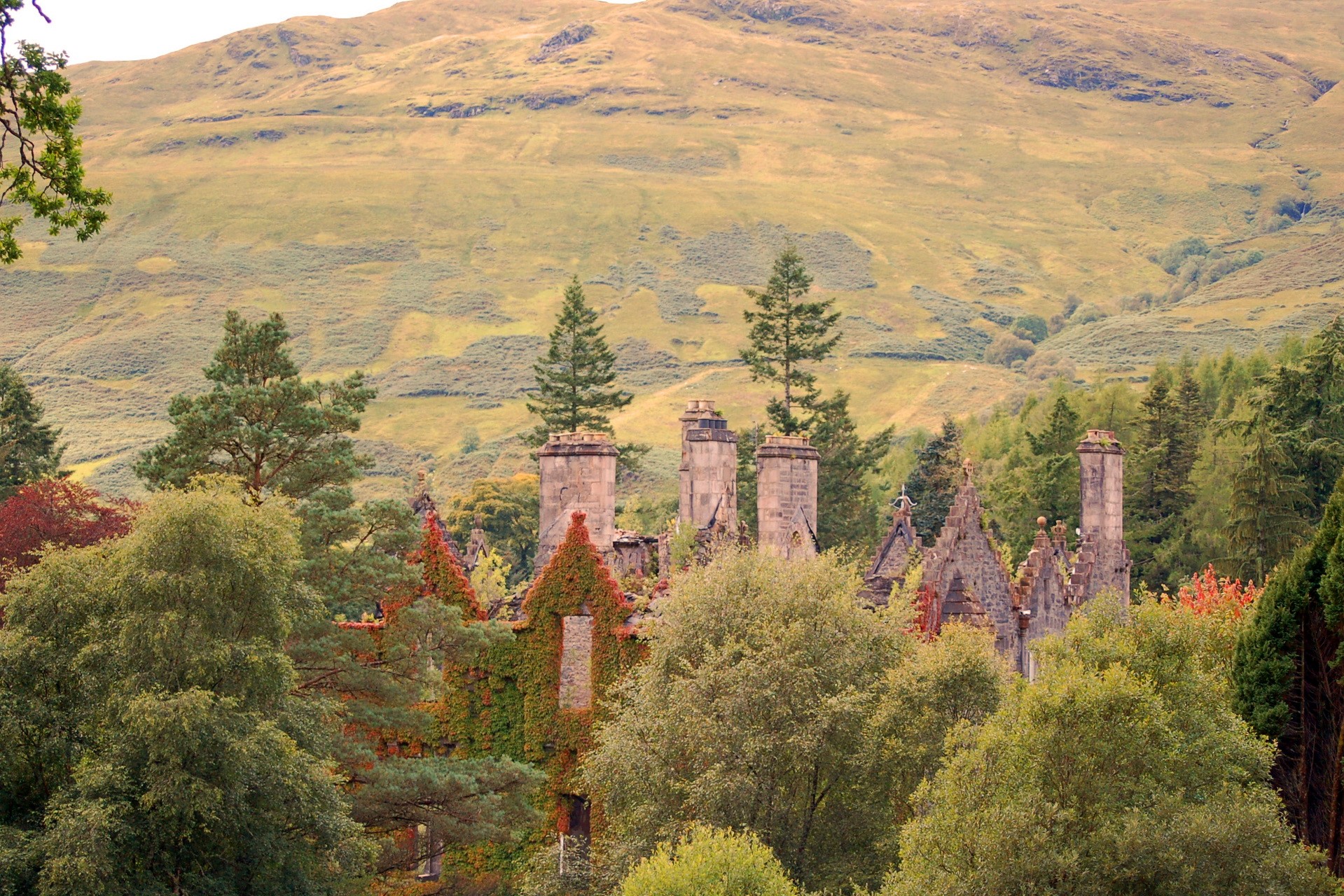 Ruins of Dunans Castle in Scotland surrounded by trees HD Wallpaper