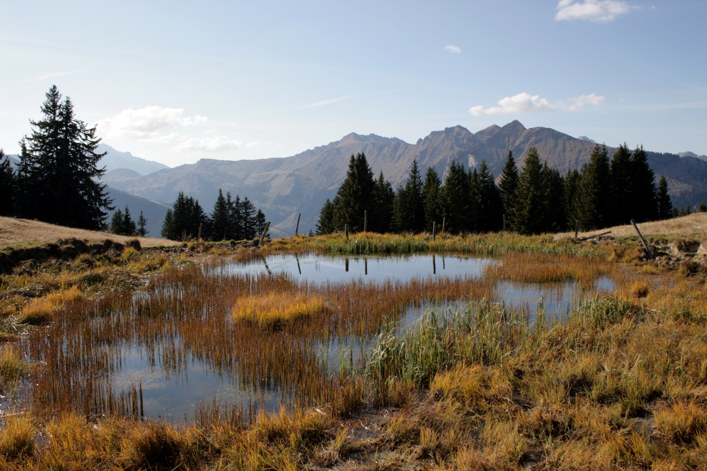 Mountain landscape with a pond in Switzerland HD Wallpaper