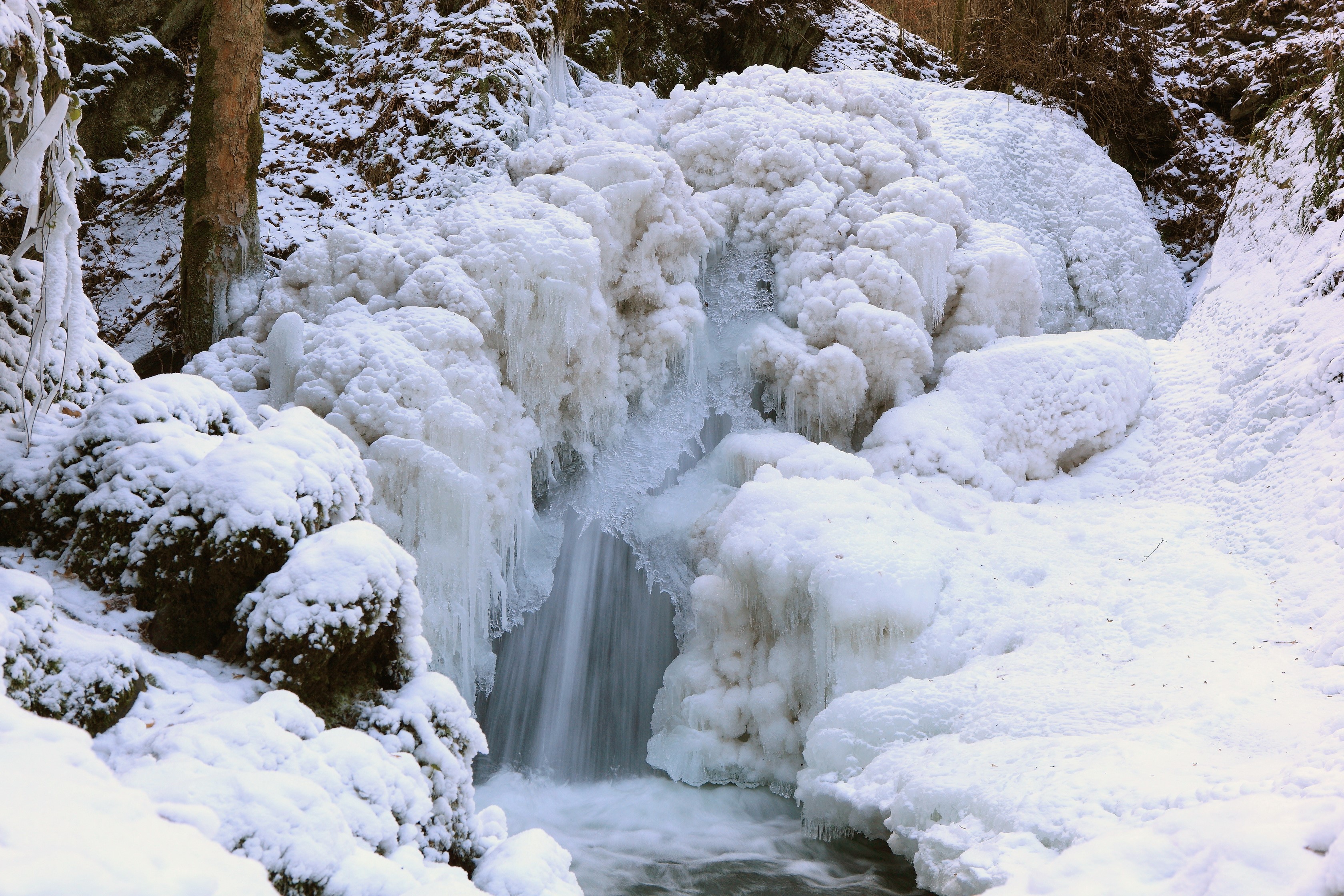 Frozen waterfall in a snowy forest during winter HD Wallpaper