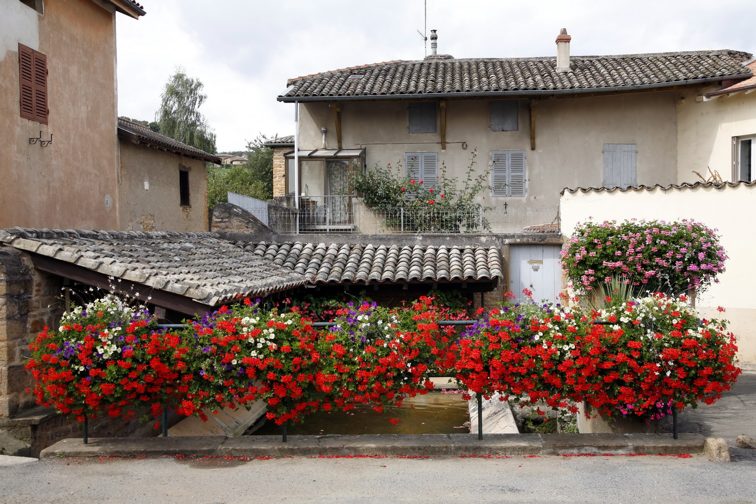 Houses with flower boxes in France HD Wallpaper
