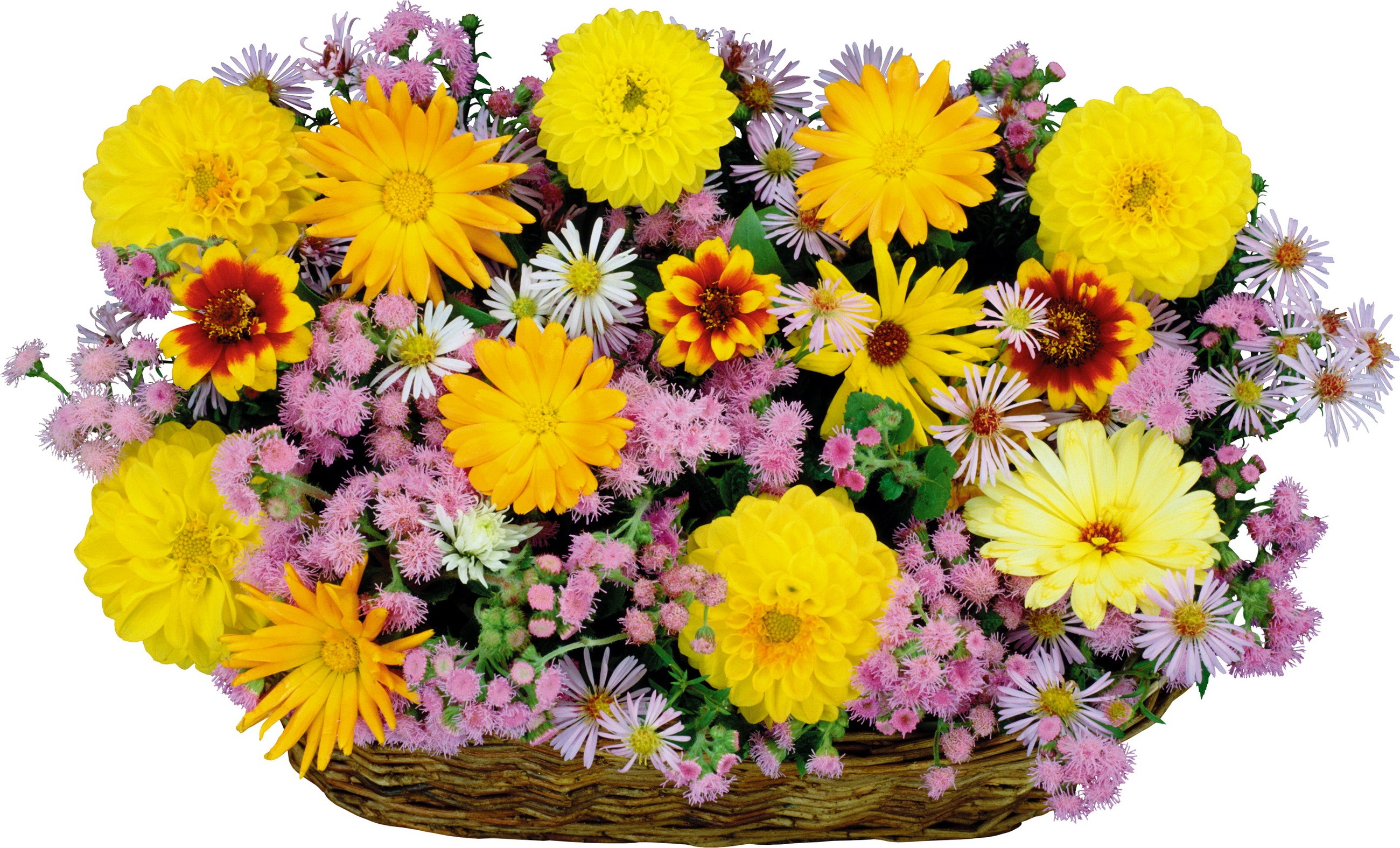 Basket of colorful flowers HD Wallpaper