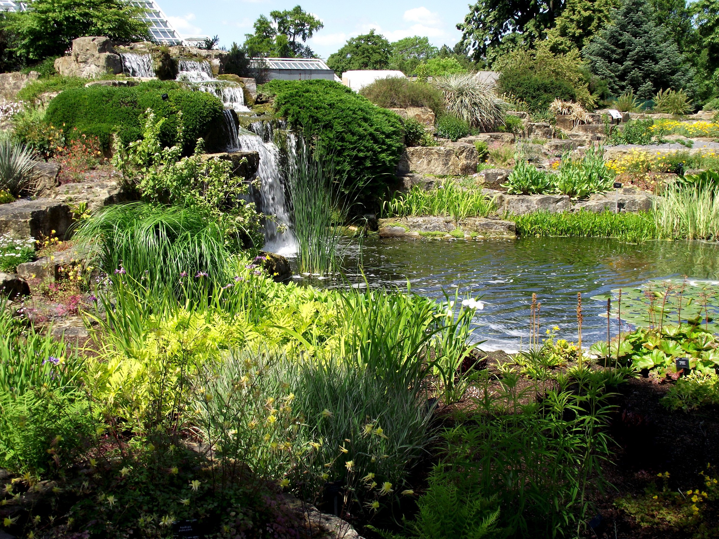 Rock garden with waterfalls and pond HD Wallpaper