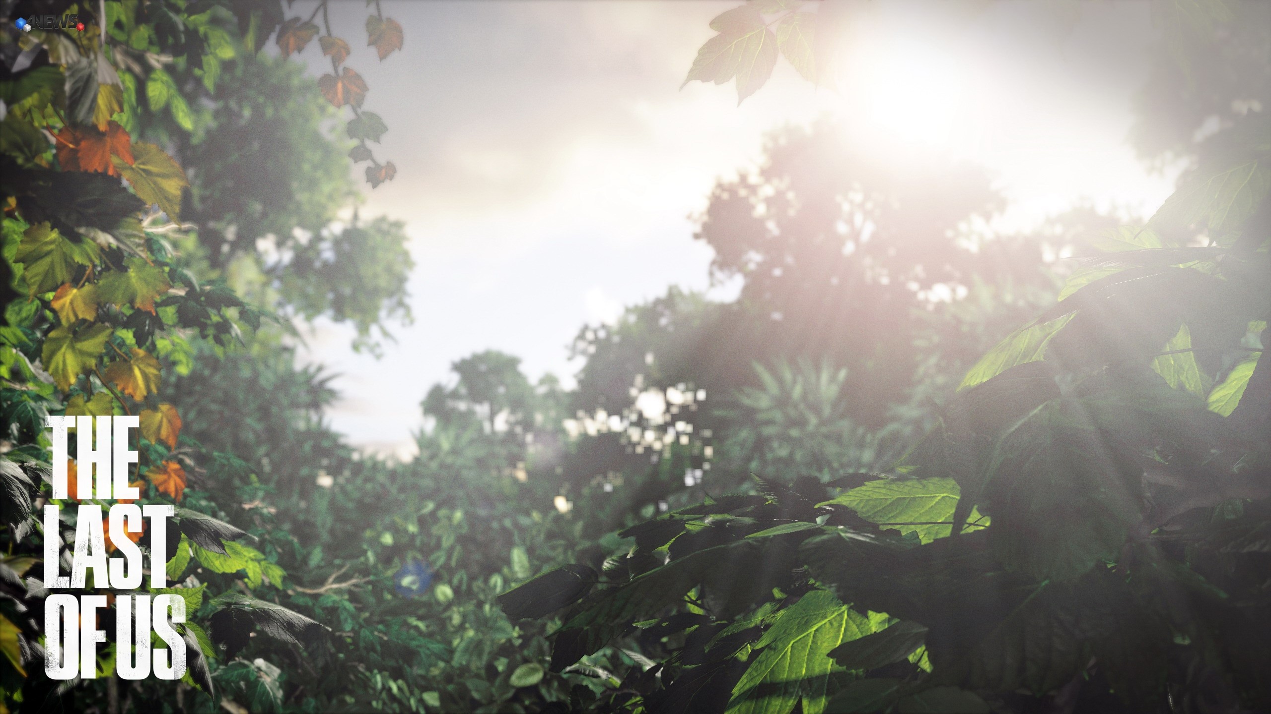 The Last of Us logo in a forest HD Wallpaper