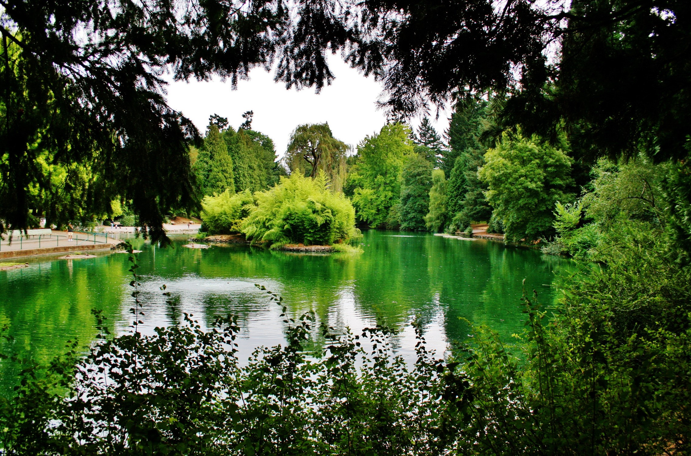 Park with a lake and trees HD Wallpaper