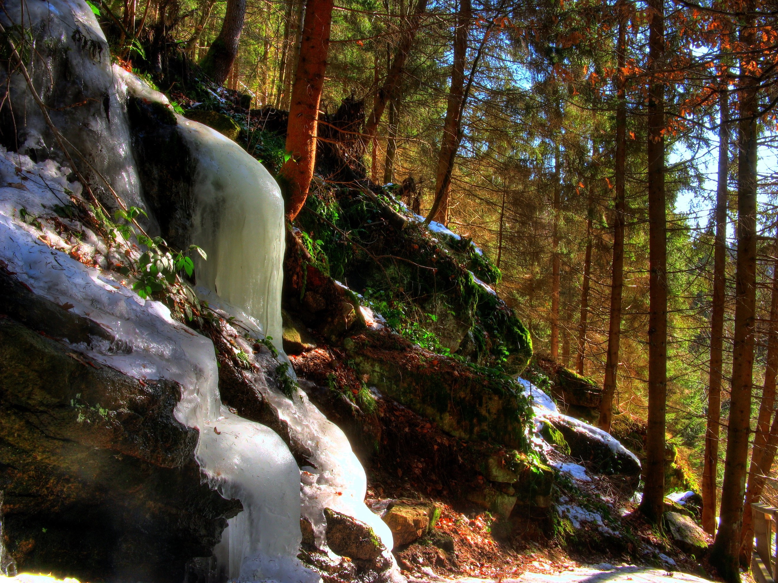 Frozen waterfall in a sunlit forest HD Wallpaper