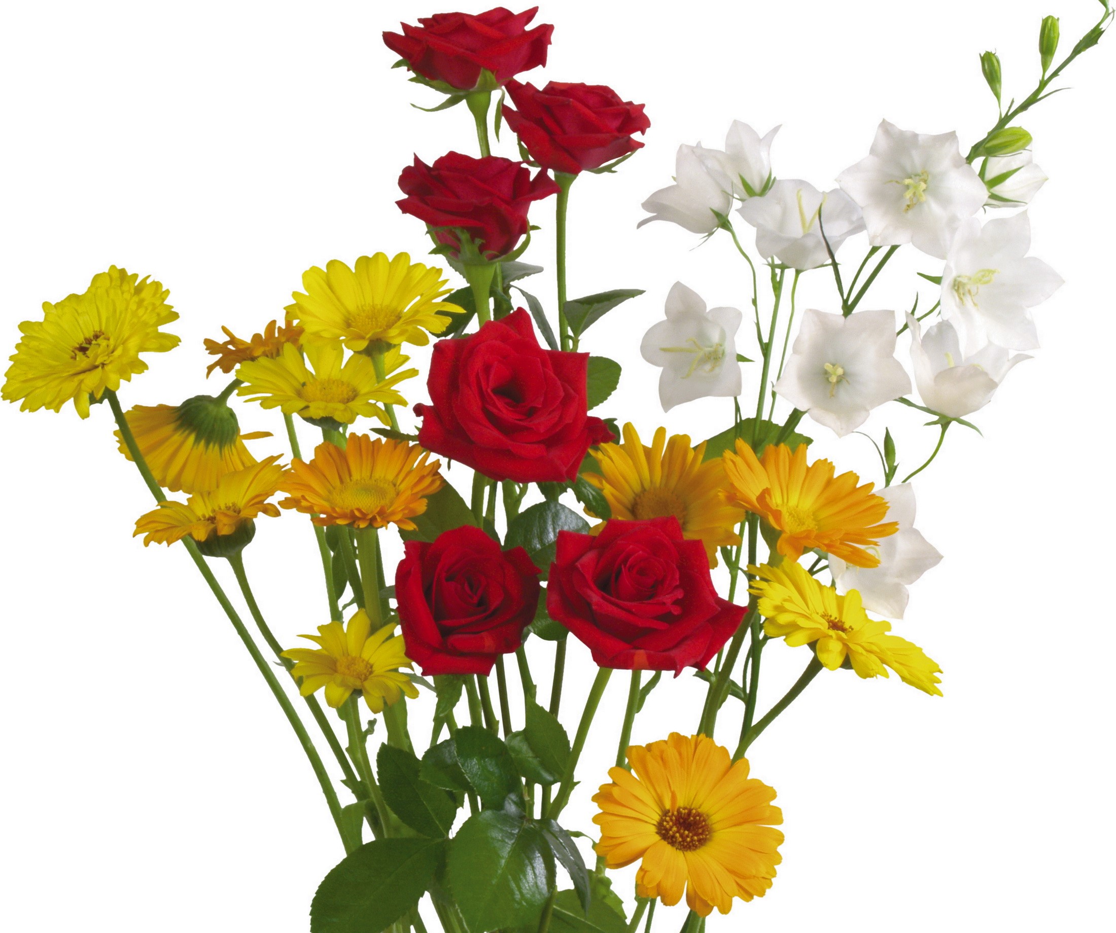 Bouquet of red roses and yellow daisies HD Wallpaper