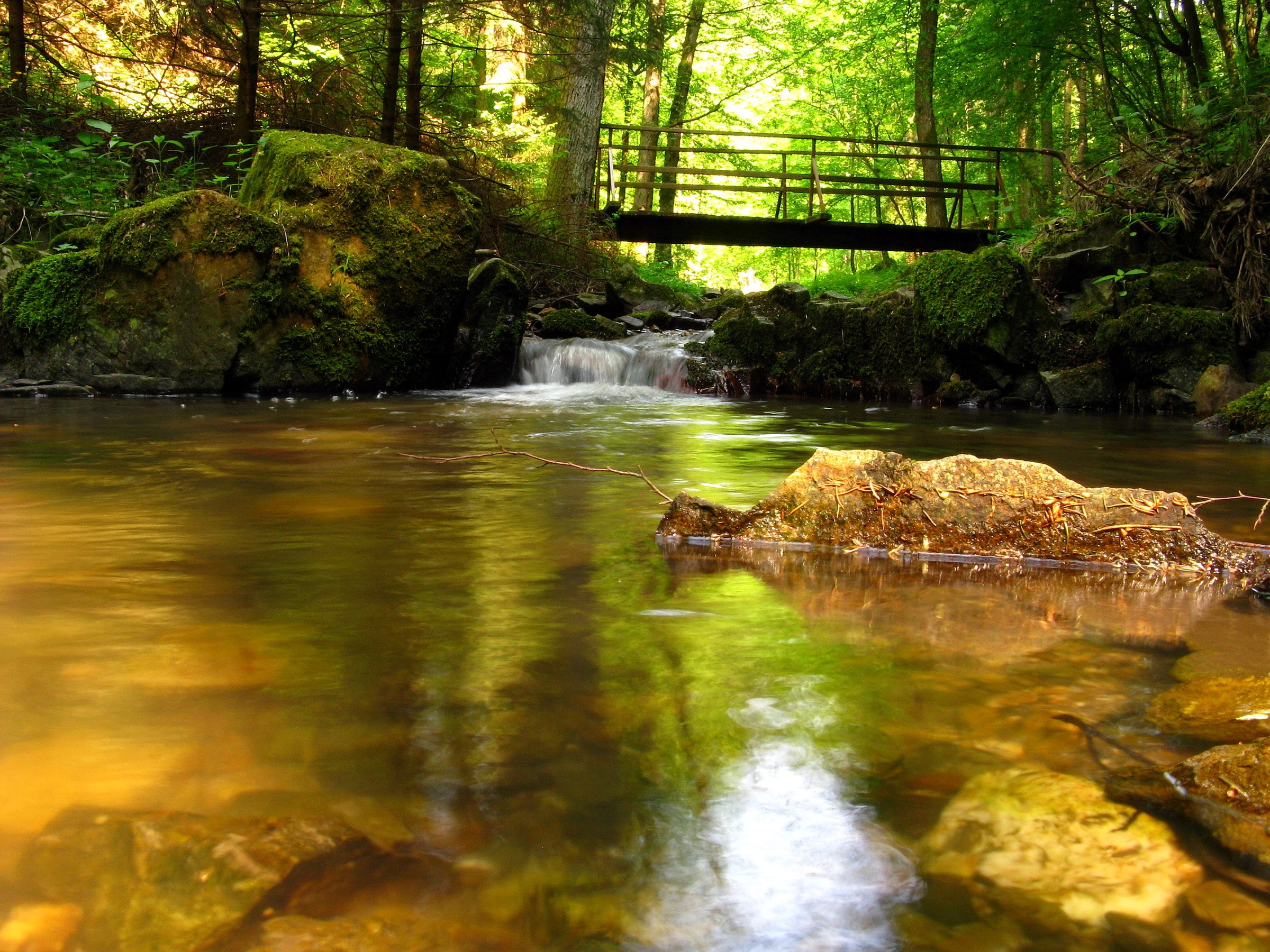 A wooden bridge over a stream in a forest HD Wallpaper