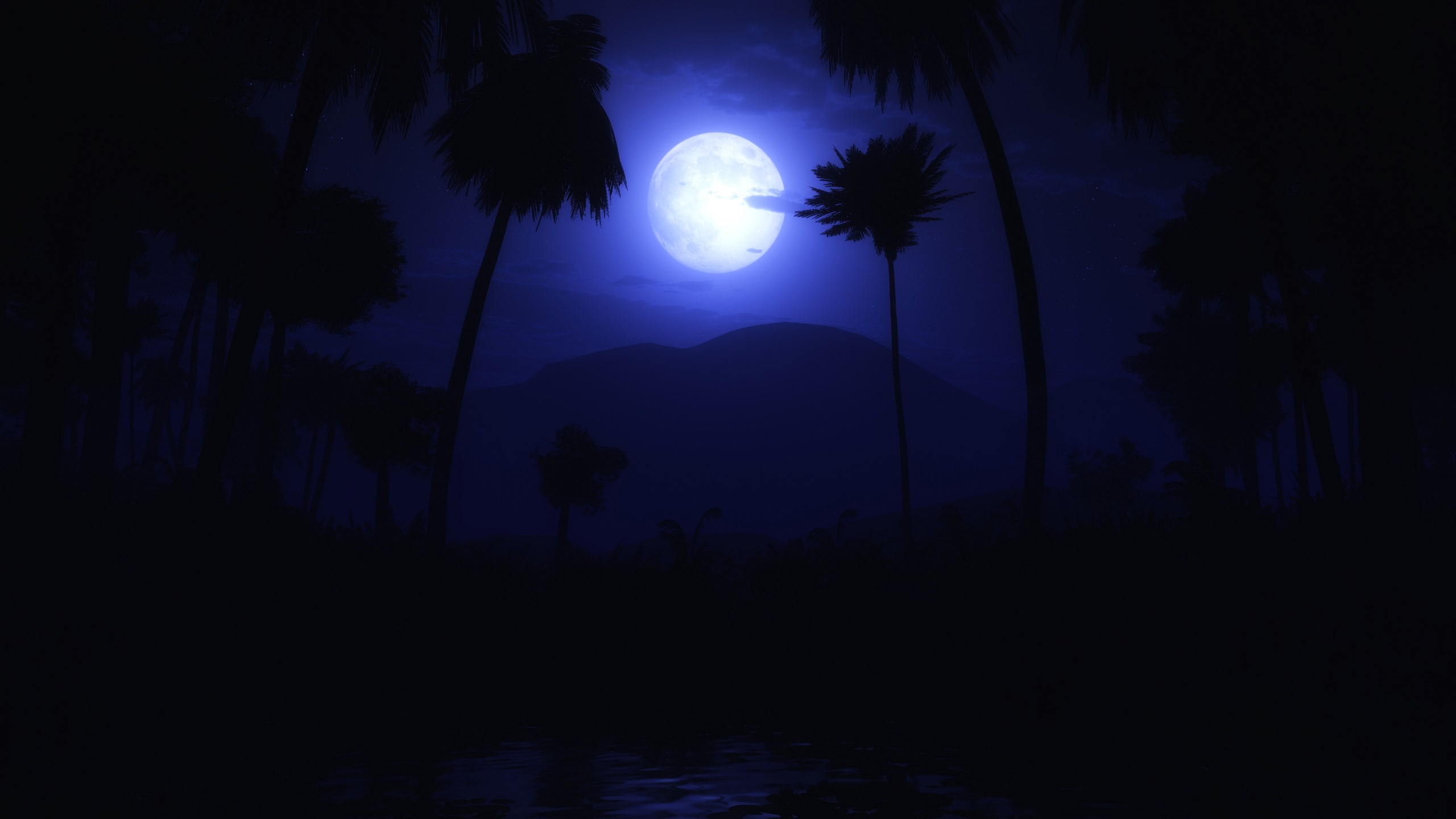 Full moon over a dark tropical landscape with palm trees HD Wallpaper