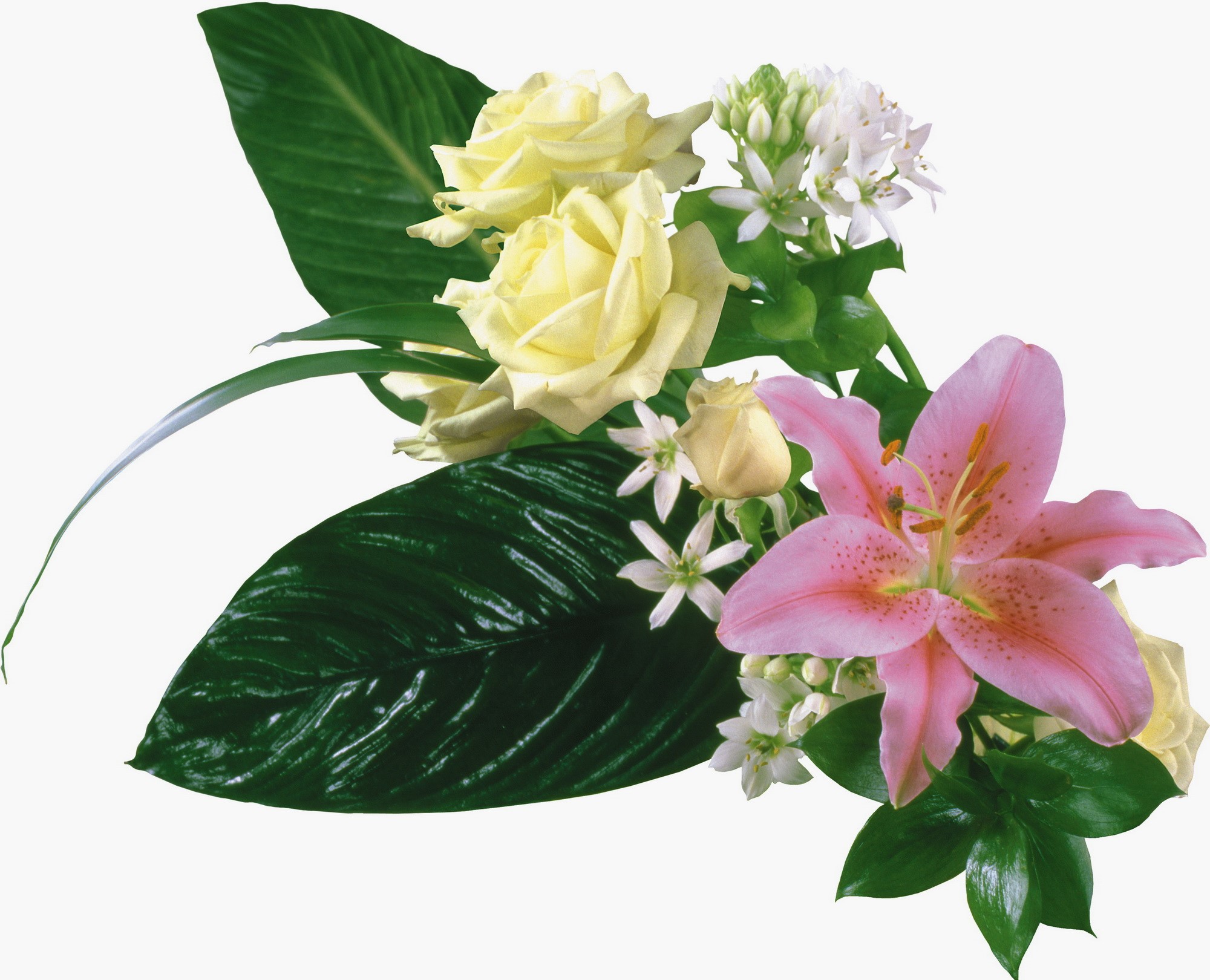 Bouquet of pink lilies and yellow roses HD Wallpaper