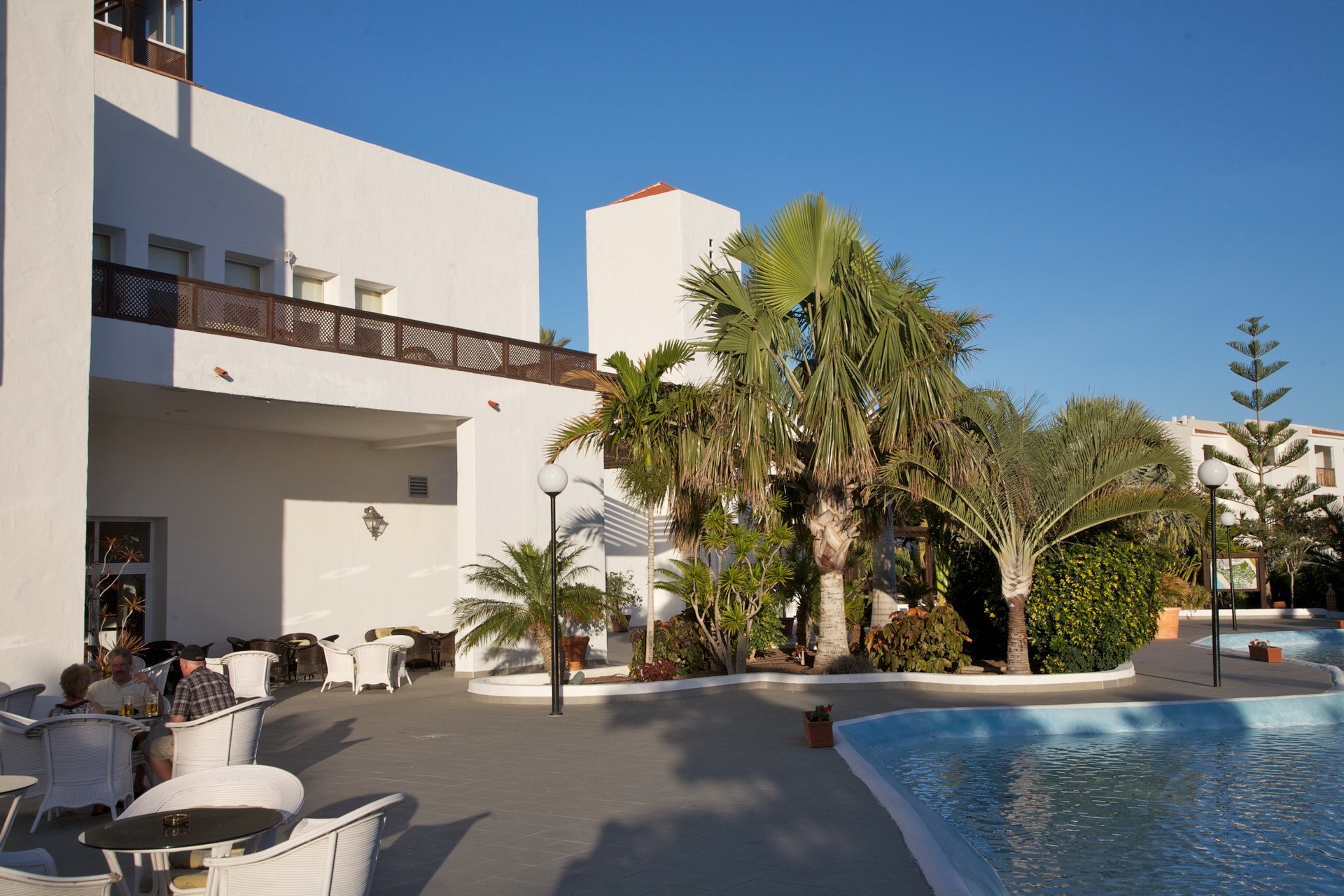 Resort with pool and palm trees HD Wallpaper