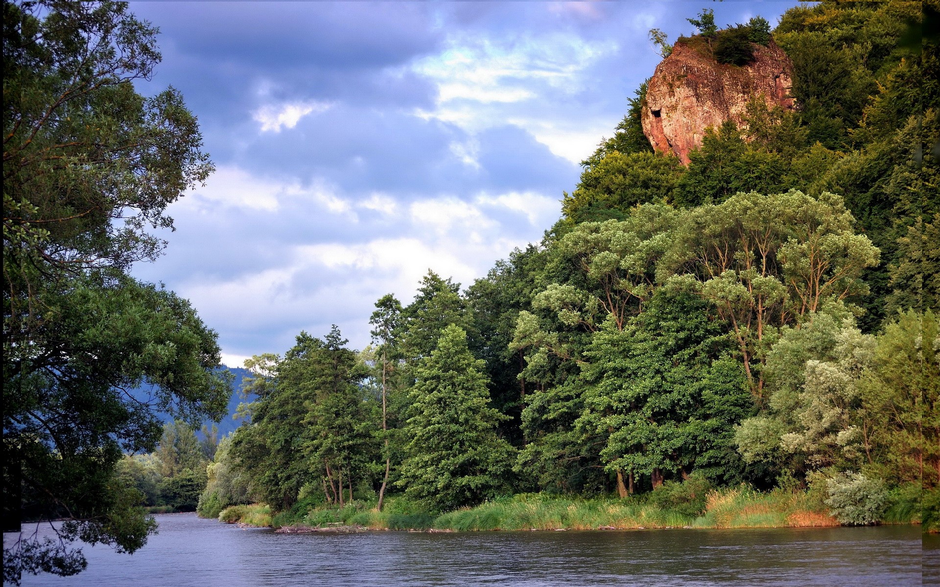 River flowing through a forest with a rocky cliff HD Wallpaper